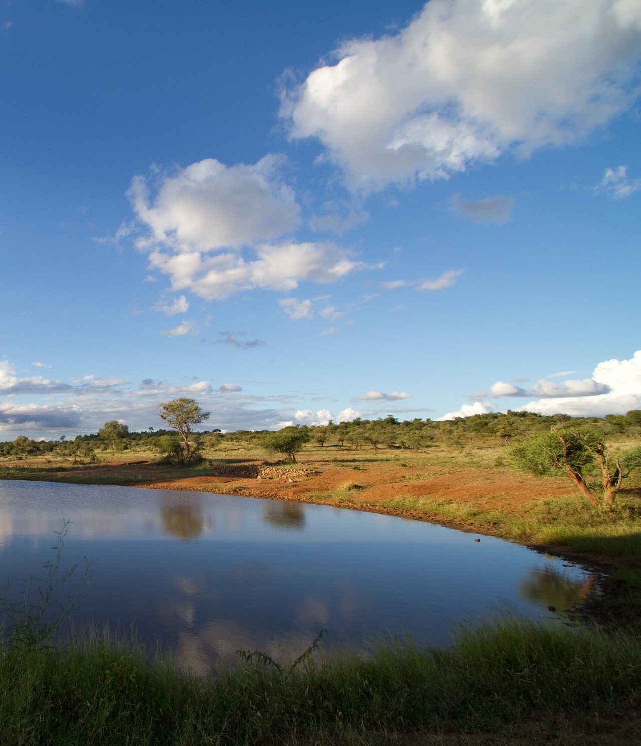Visita Sudáfrica y disfruta del paisaje del Parque Kruger, con vegetación abundante y un lago sereno