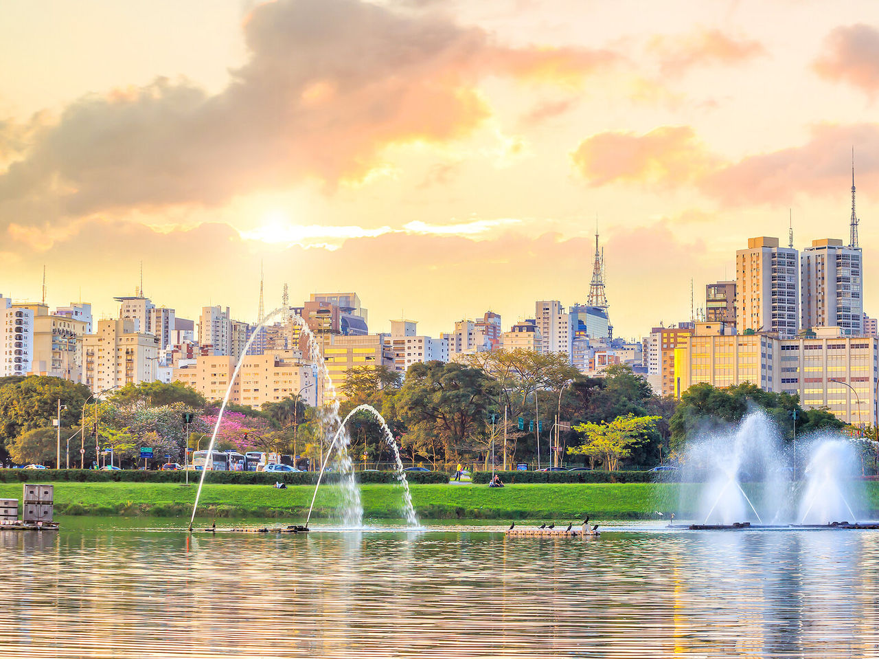 Vista del Parque Ibirapuera, con los edificios modernos de São Paulo al fondo