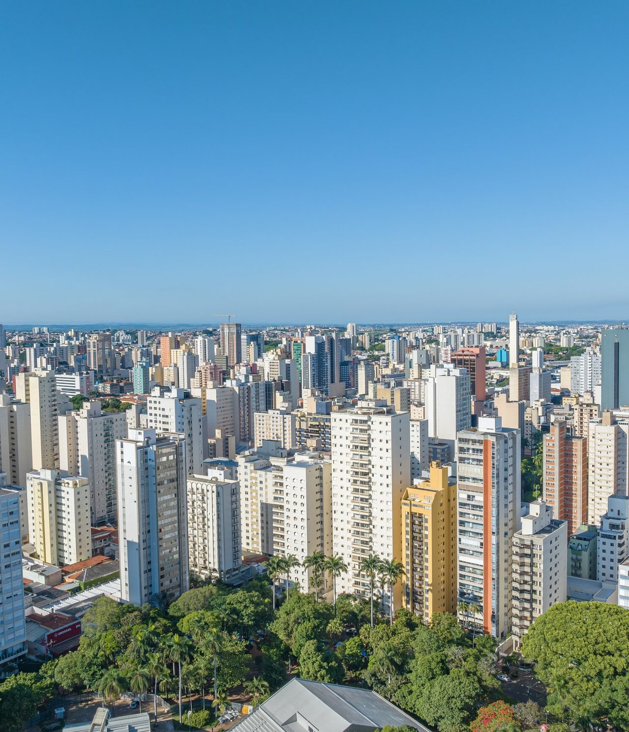 Vista aérea de São Paulo, con varios edificios altos blancos y un jardín con vegetación en primer plano