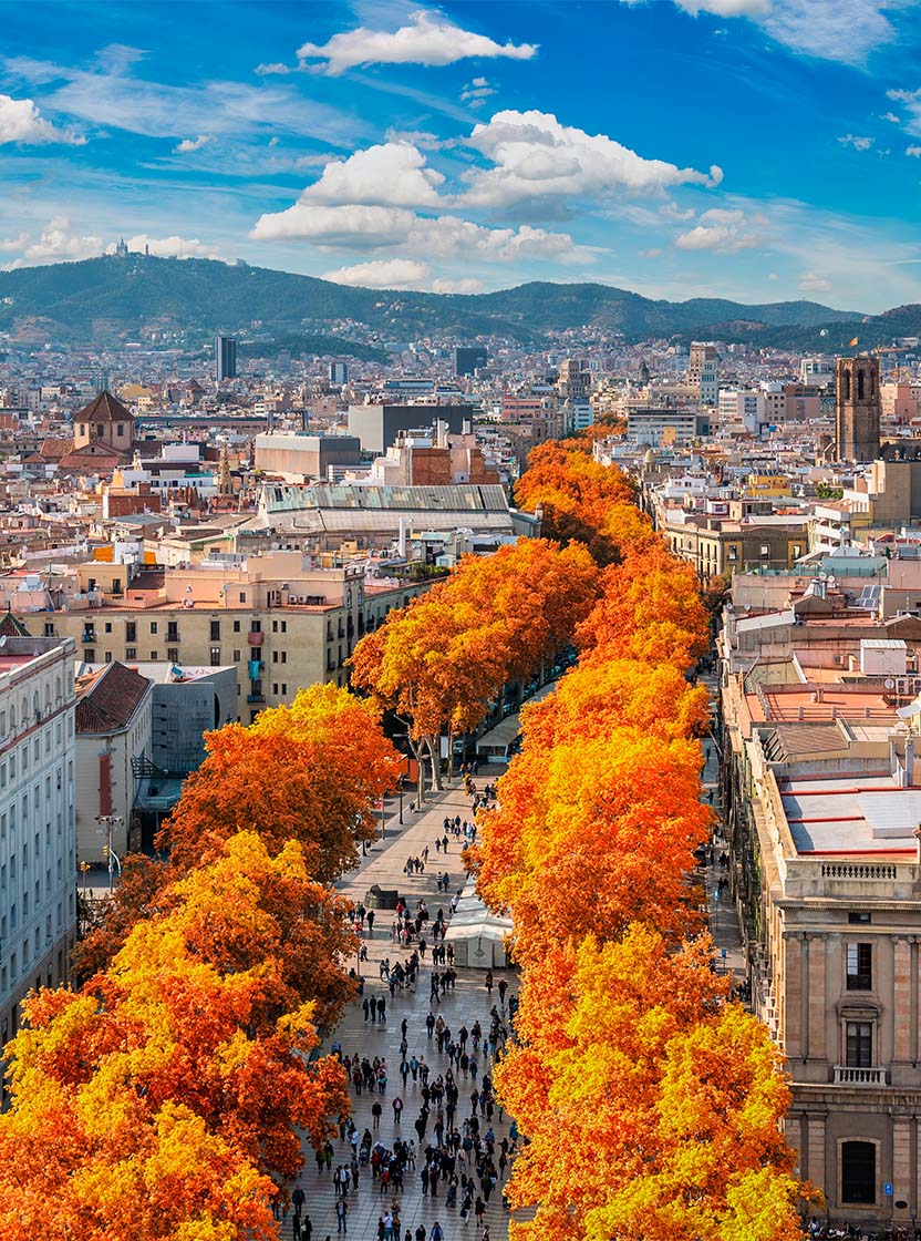 Vista aérea sobre la ciudad de Barcelona, con personas paseando, árboles coloridos con hojas de otoño y varios edificios