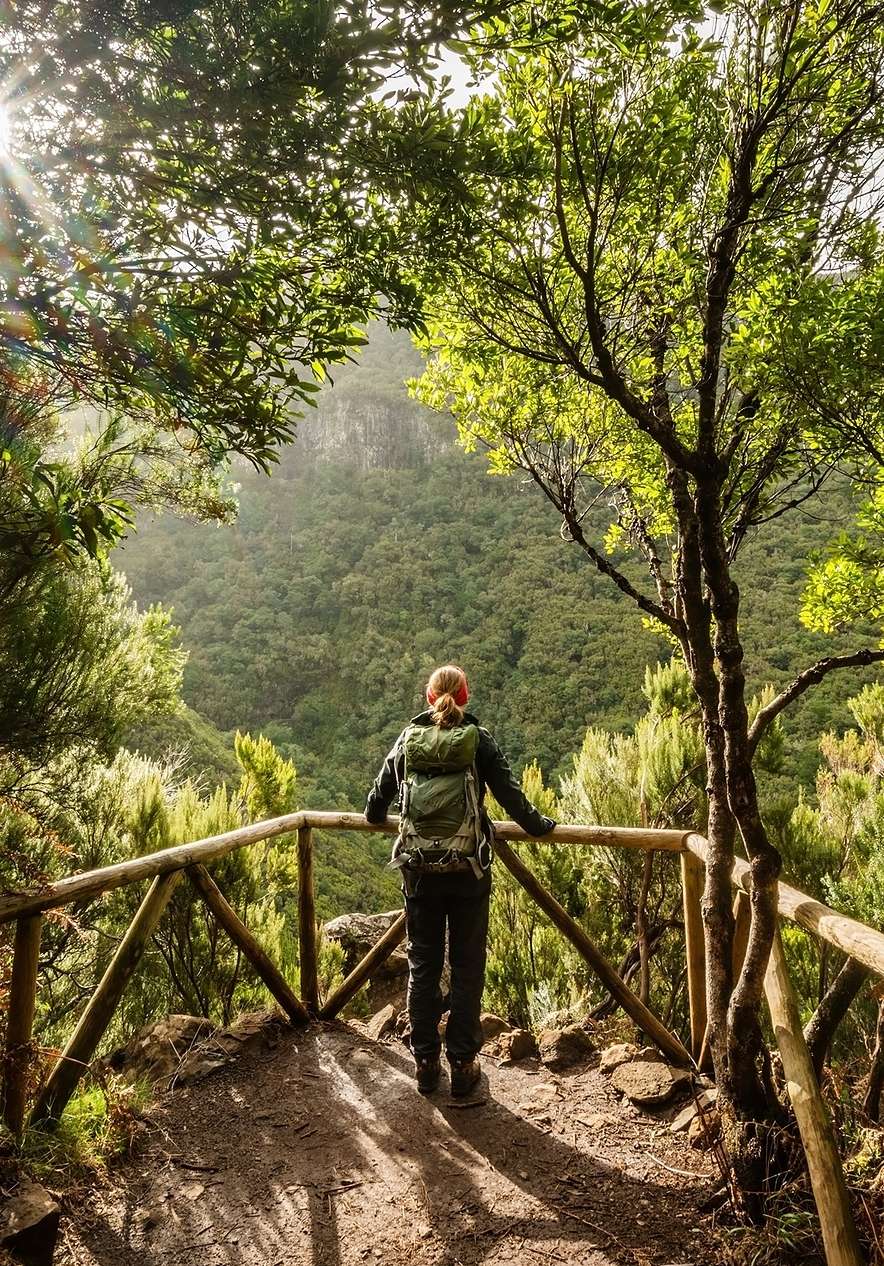 Floresta Laurissilva da Madeira, onde se podem fazer caminhadas na famosas levadas, com mochila às costas