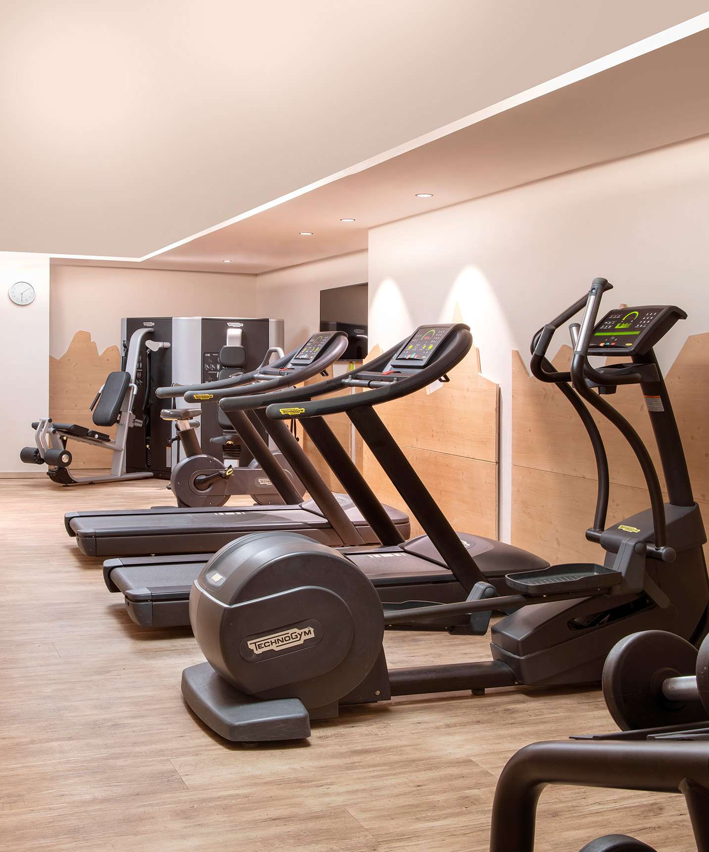 Le Massif Courmayeur, Hotel in den italienischen Alpen, mit modernem Fitnessraum und Laufbändern mit Holzdetails