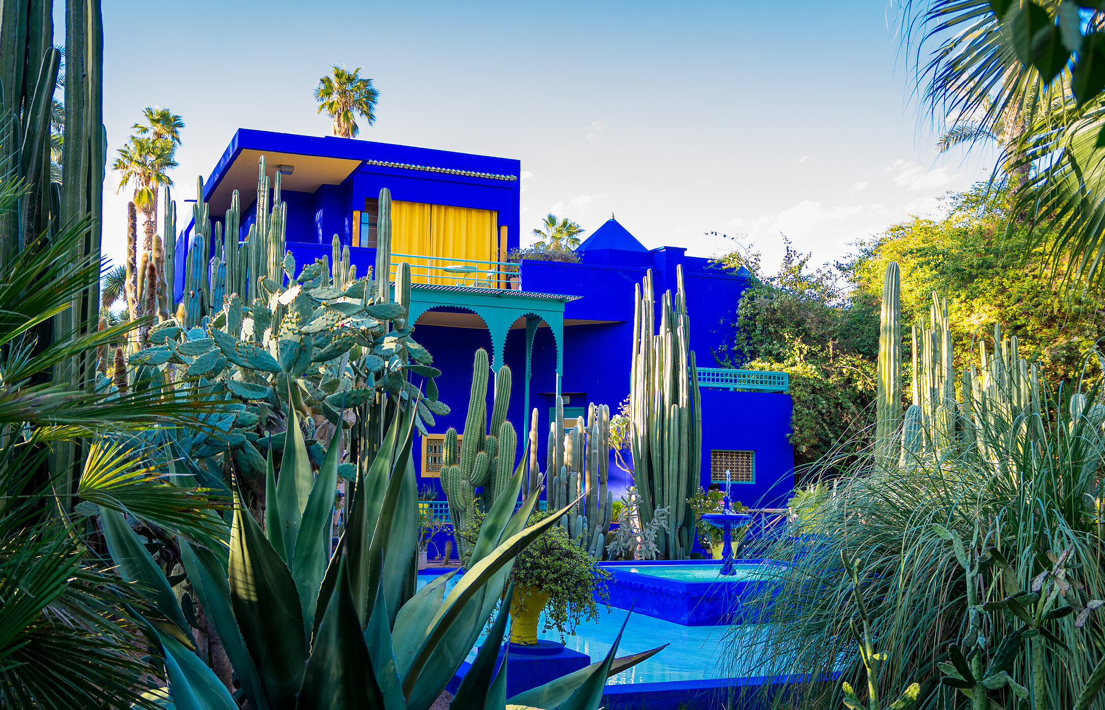 Der Majorelle-Garten mit einer großen Vielfalt an botanischen Arten und einem leuchtend blauen Haus mit gelben Vorhängen und einem Brunnen