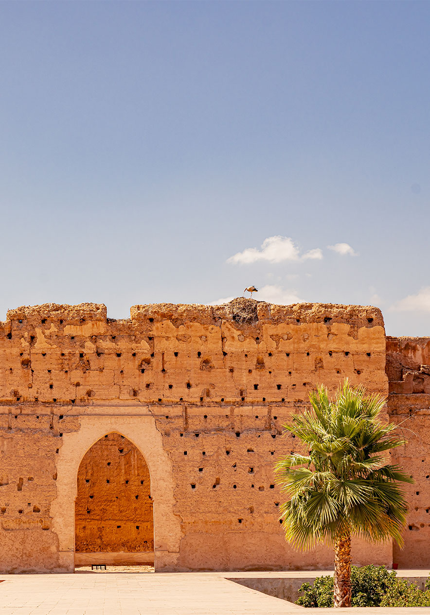 Badi Palace near Pestana CR7 Marrakech, Hotel no Centro de Marraquexe with sunlit walls and palm tree