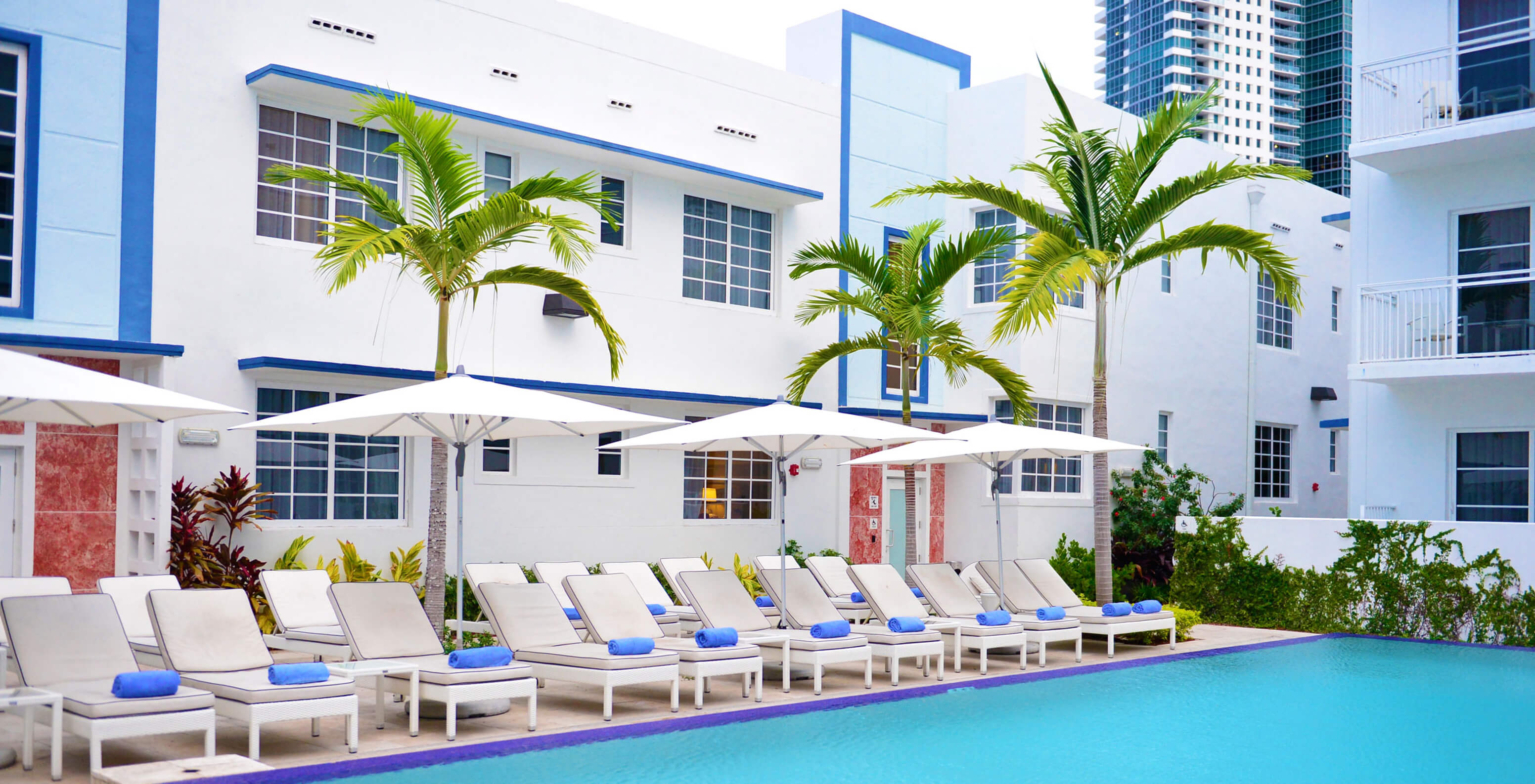 The Superior King Pool View at Pestana Miami South Beach is a modern pool with white loungers