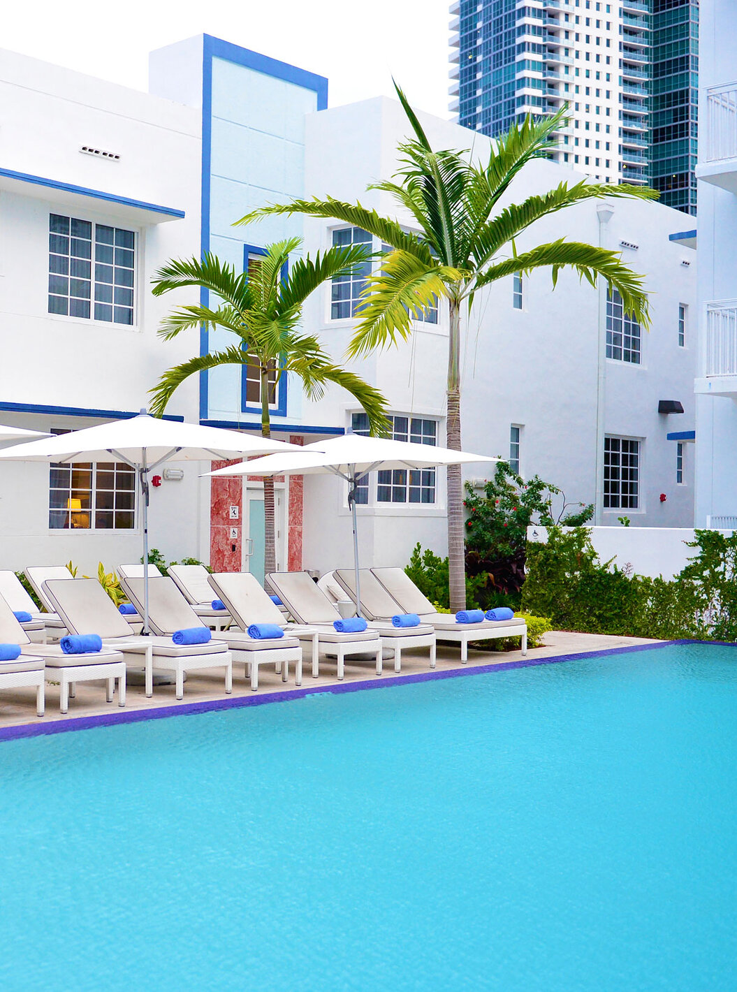 The Superior King Pool View at Pestana Miami South Beach is a modern pool with white loungers