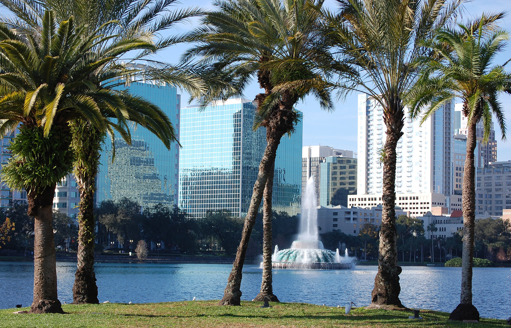 View of Eola Fountain, surrounded by palm trees and buildings in the background