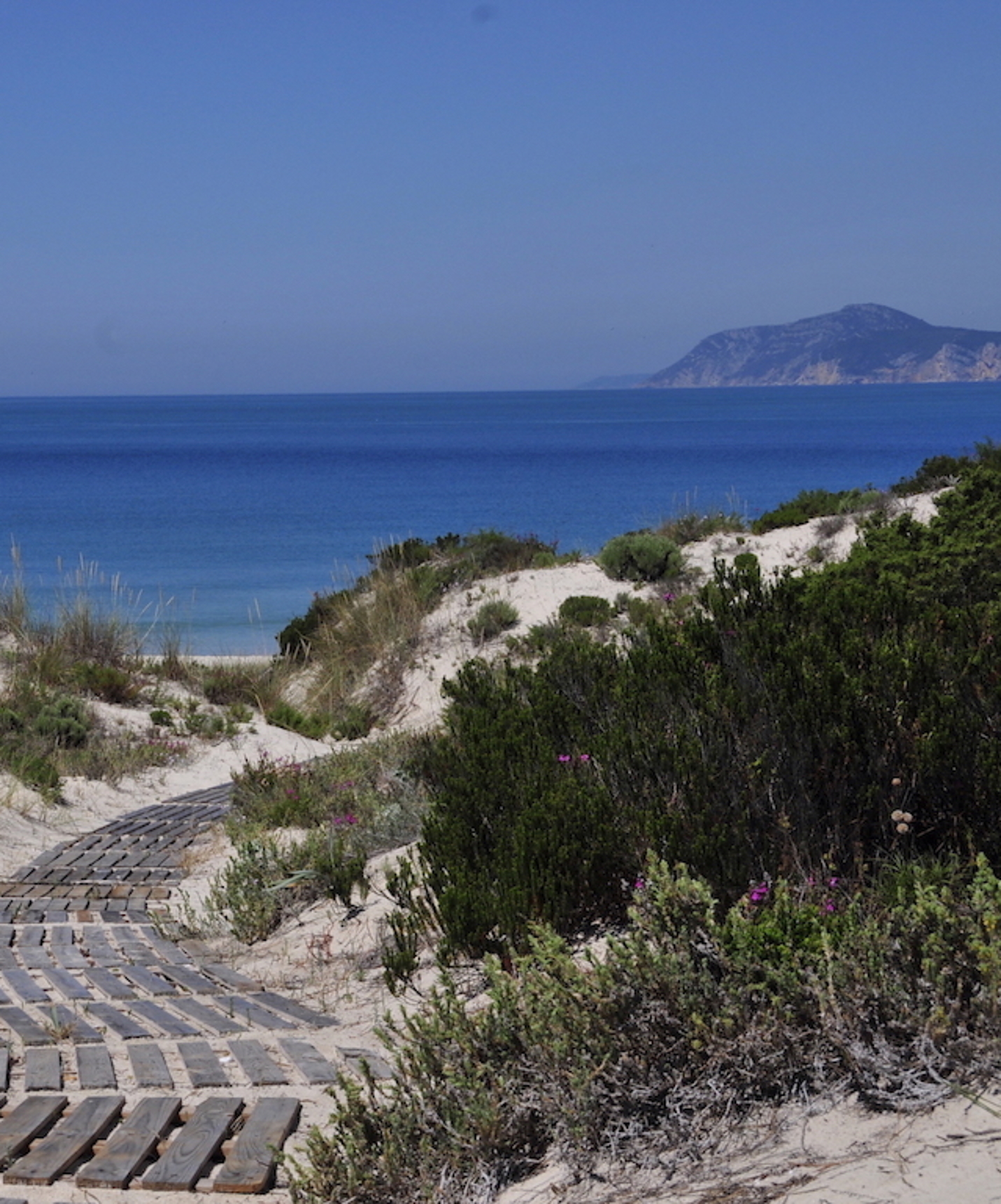 Wooden walkway providing direct access to Soltroia beach from Pestana Tróia Eco Resort