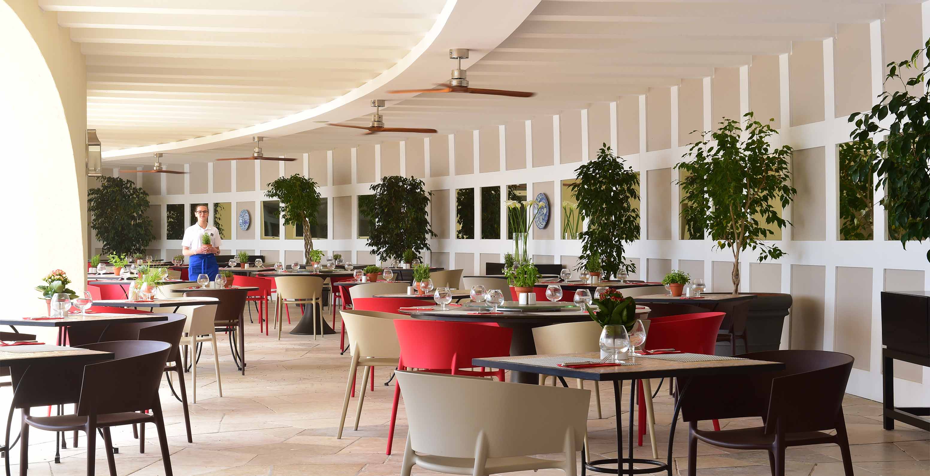 The Oceano bar has an outdoor terrace with small trees and colorful chairs