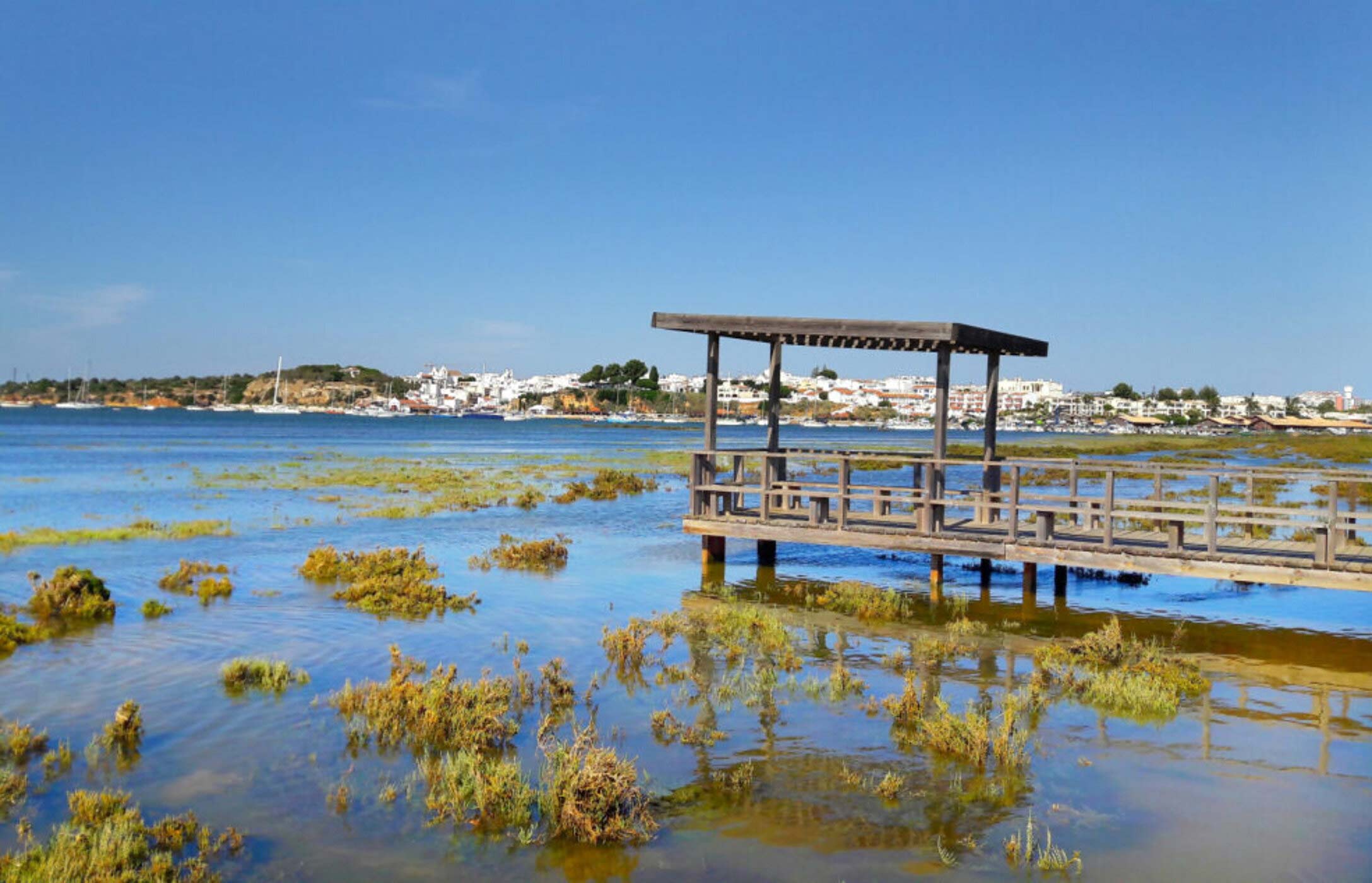 A Ria de Alvor, no Algarve, deslumbra com as suas águas calmas, vegetação costeira e barcos que cruzam o estuário