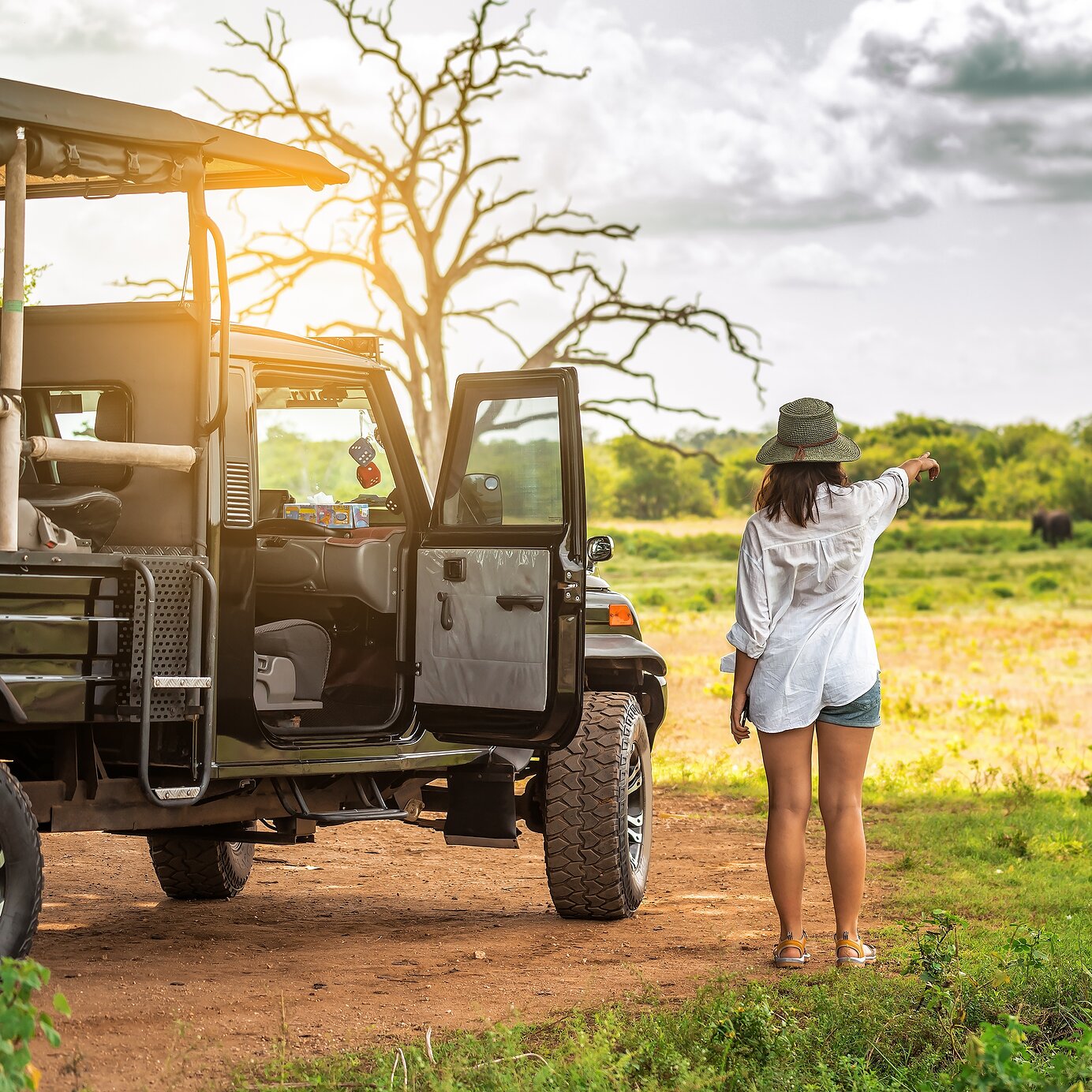 Discover the "Big Five" on a safari in Kruger National Park. Stay at a Pestana hotel and have the chance to encounter the "Big Five" in their natural habitat while on safari.