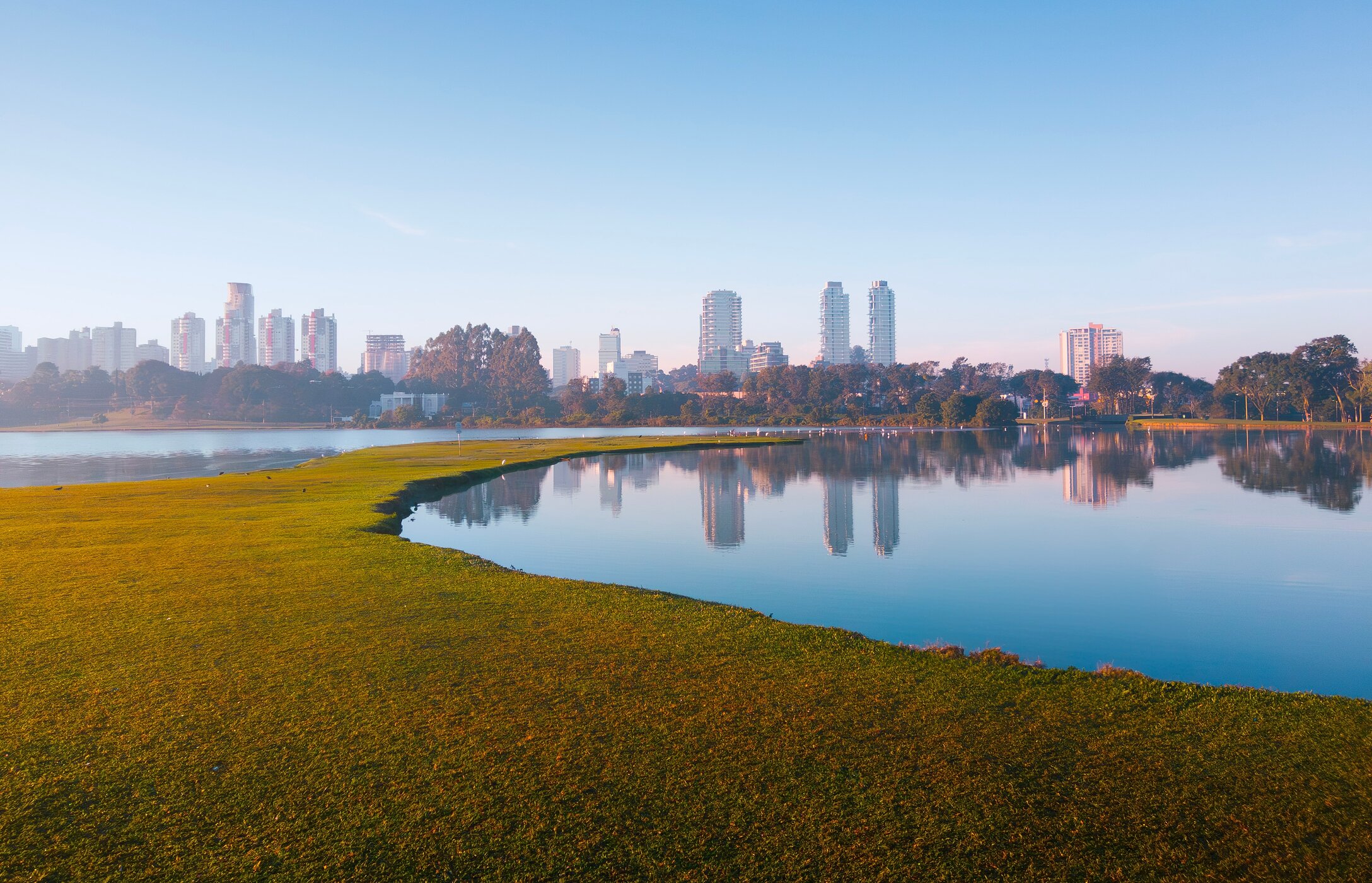 El Parque Barigui en Curitiba es un refugio verde, perfecto para caminar, hacer picnic y observar capibaras a lo largo del lago.