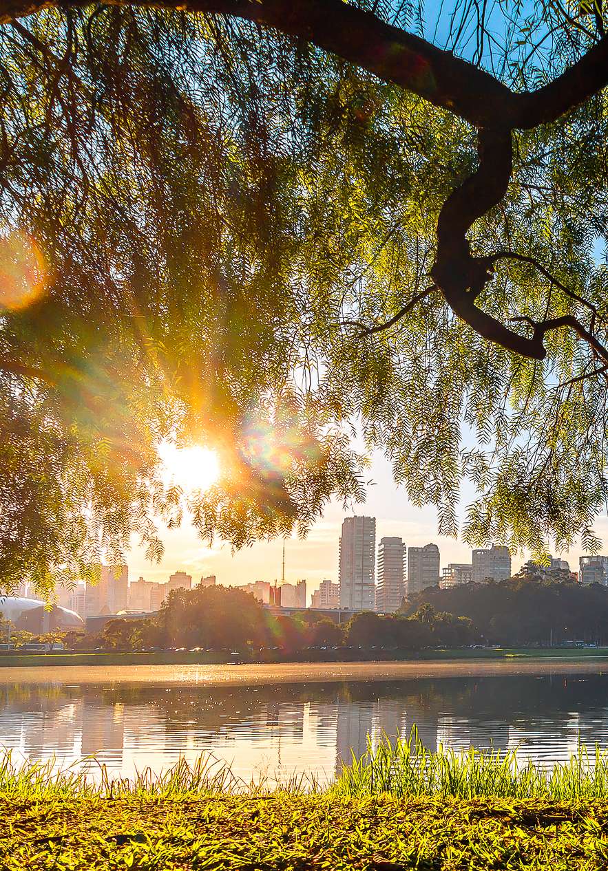 Luz del atardecer entre ramas sobre el lago del parque Ibirapuera con edificios de São Paulo al fondo