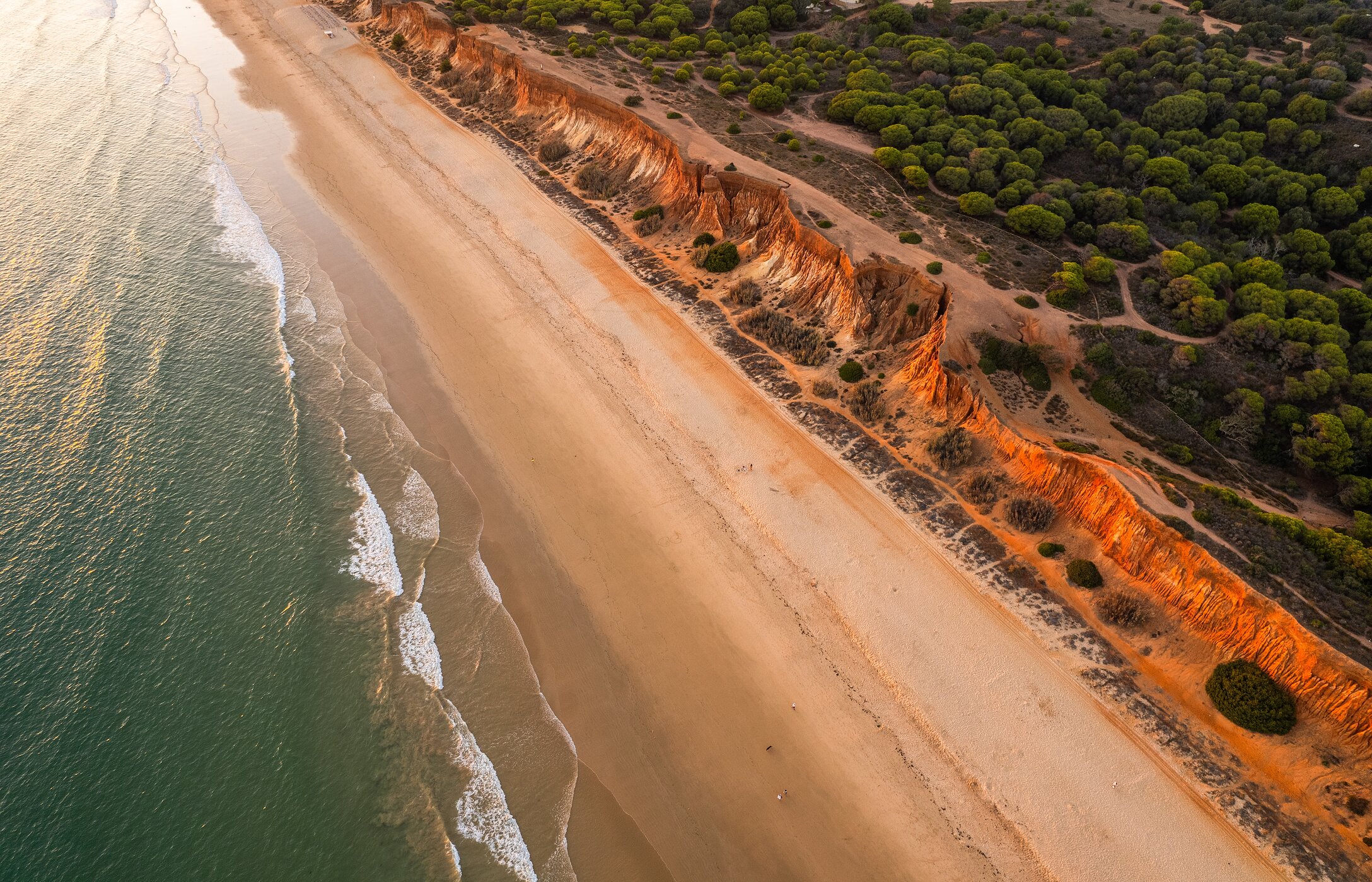 Vista aérea de Praia da Falésia, en el Algarve, con una extensa playa de arena dorada a lo largo de la costa y aguas cristalinas