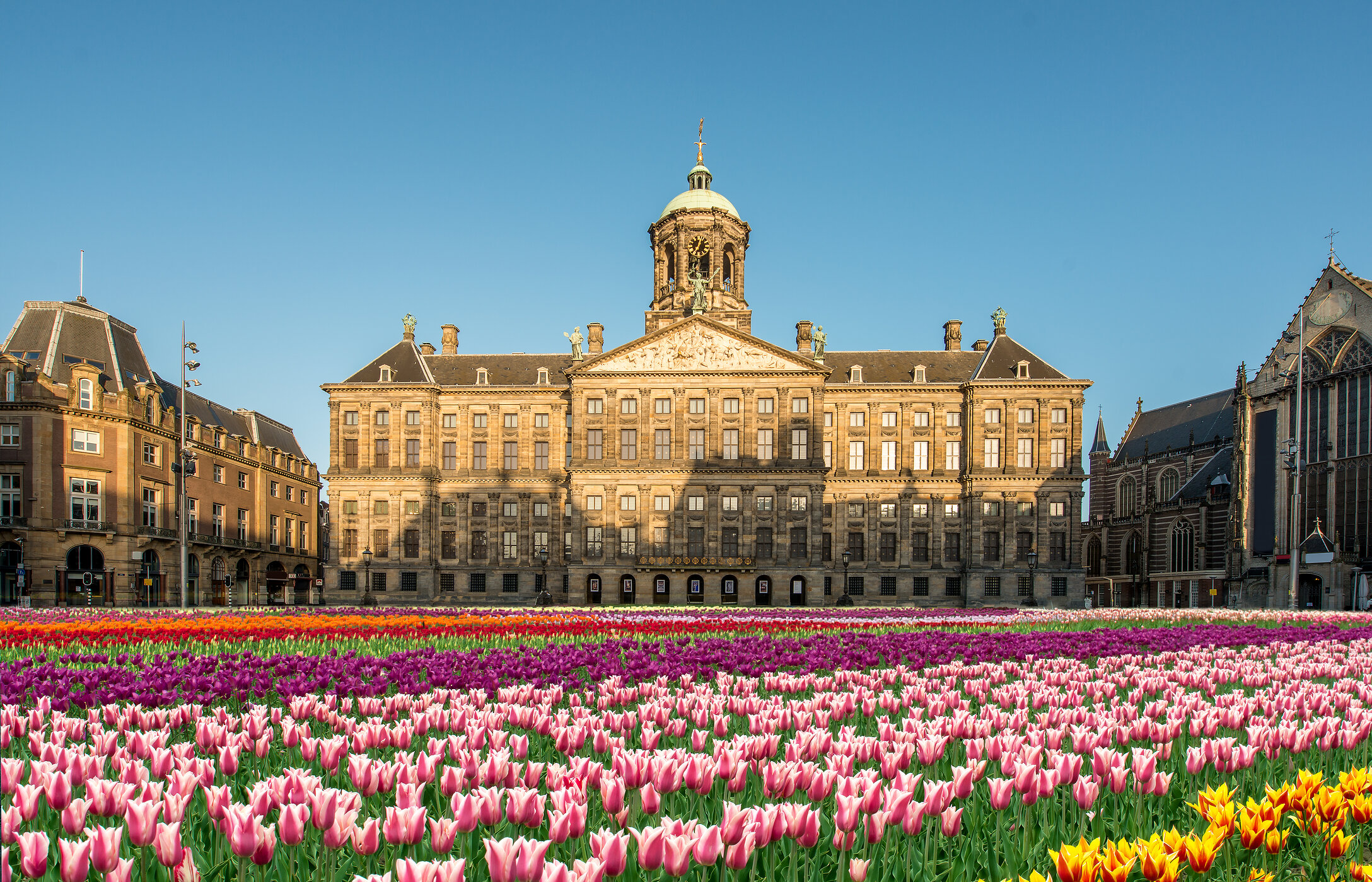 Palacio Real de Ámsterdam, una imponente construcción de ladrillo con una vibrante alfombra de tulipanes coloridos