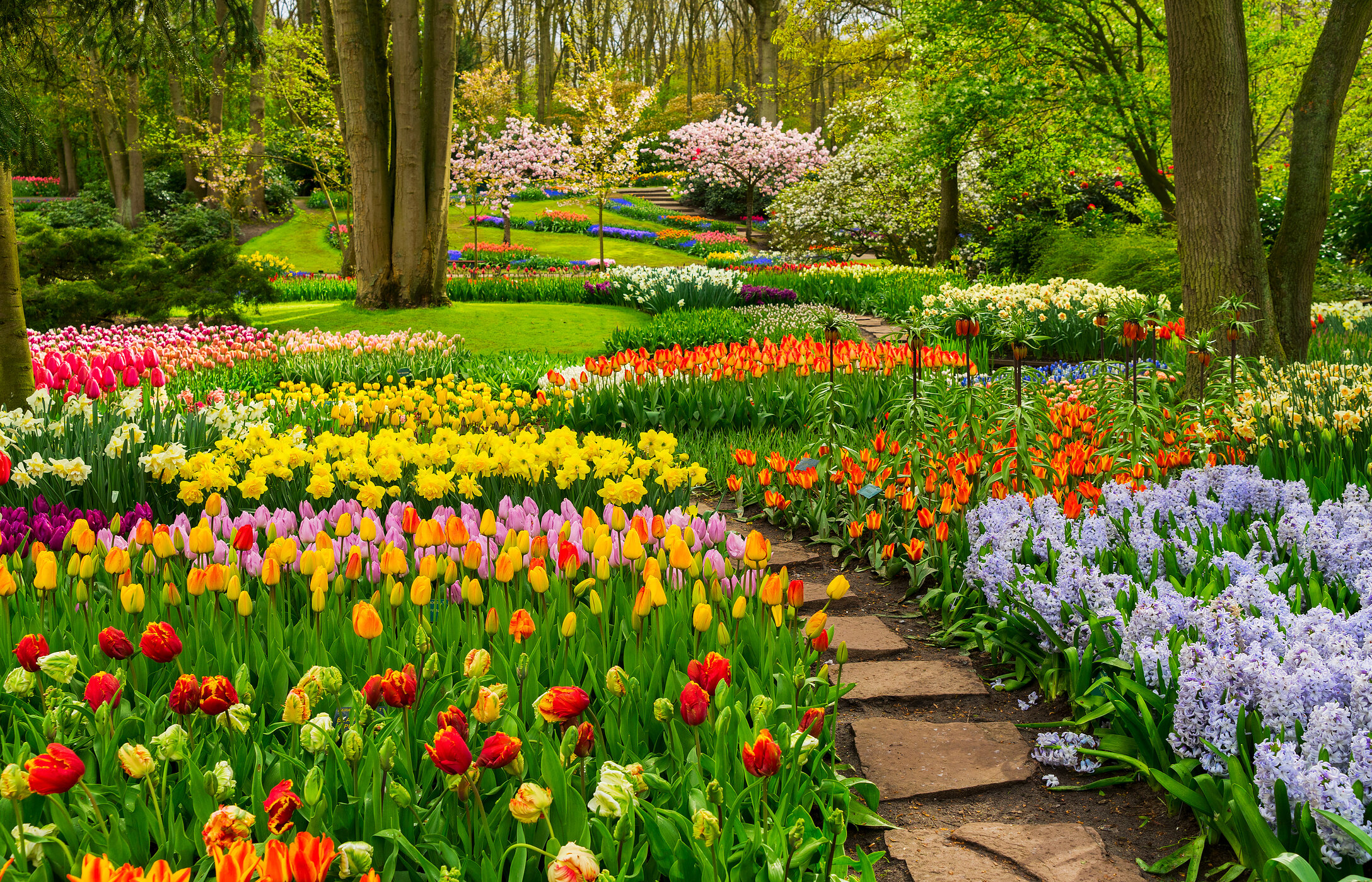 Jardín Botánico Keukenhof en Lisse, Países Bajos, con tulipanes de varios colores, un camino de piedra y vegetación alrededor.