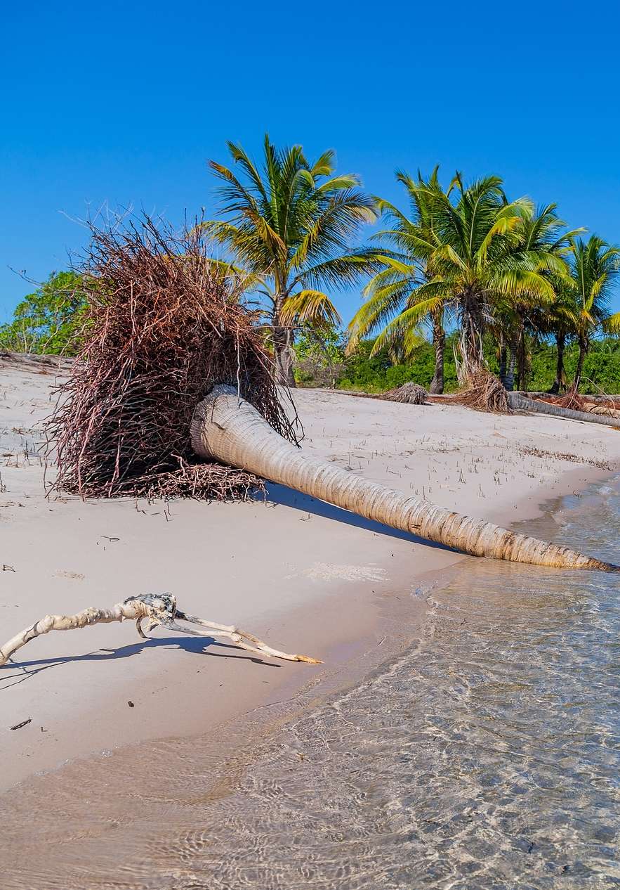 Playa de la isla de Inhaca cerca de Pestana Rovuma, Hotel no Centro de Maputo con palmeras y agua cristalina