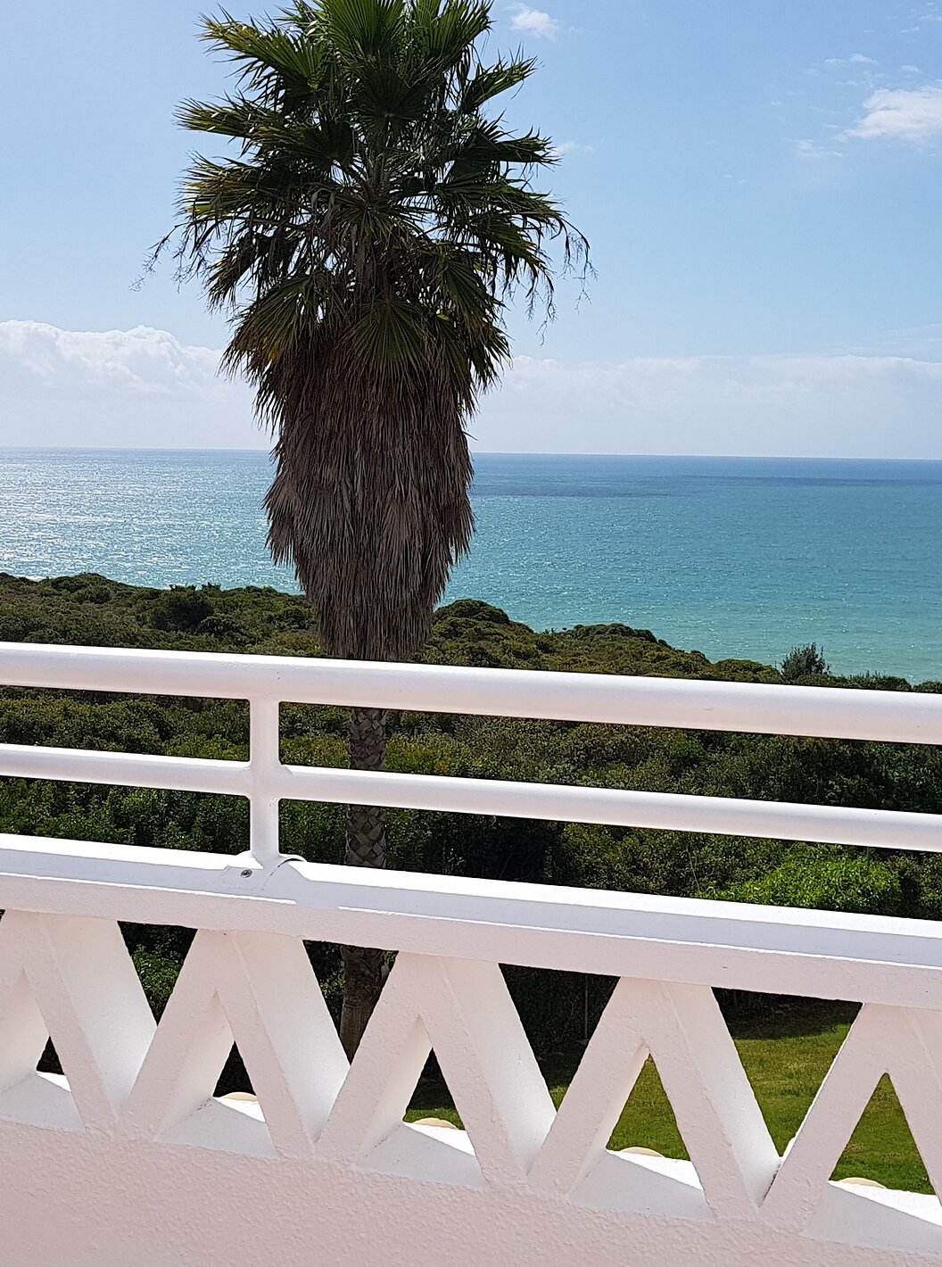 El Apartamento T2 Premium del Pestana Palm Gardens tiene una terraza con vista al jardín verde, palmeras y al mar