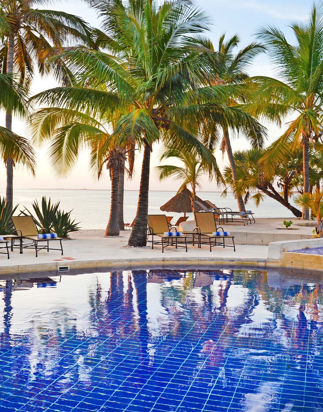 Piscine du Pestana Bazaruto Lodge, au Mozambique, entourée de palmiers et de transats, avec la plage en face