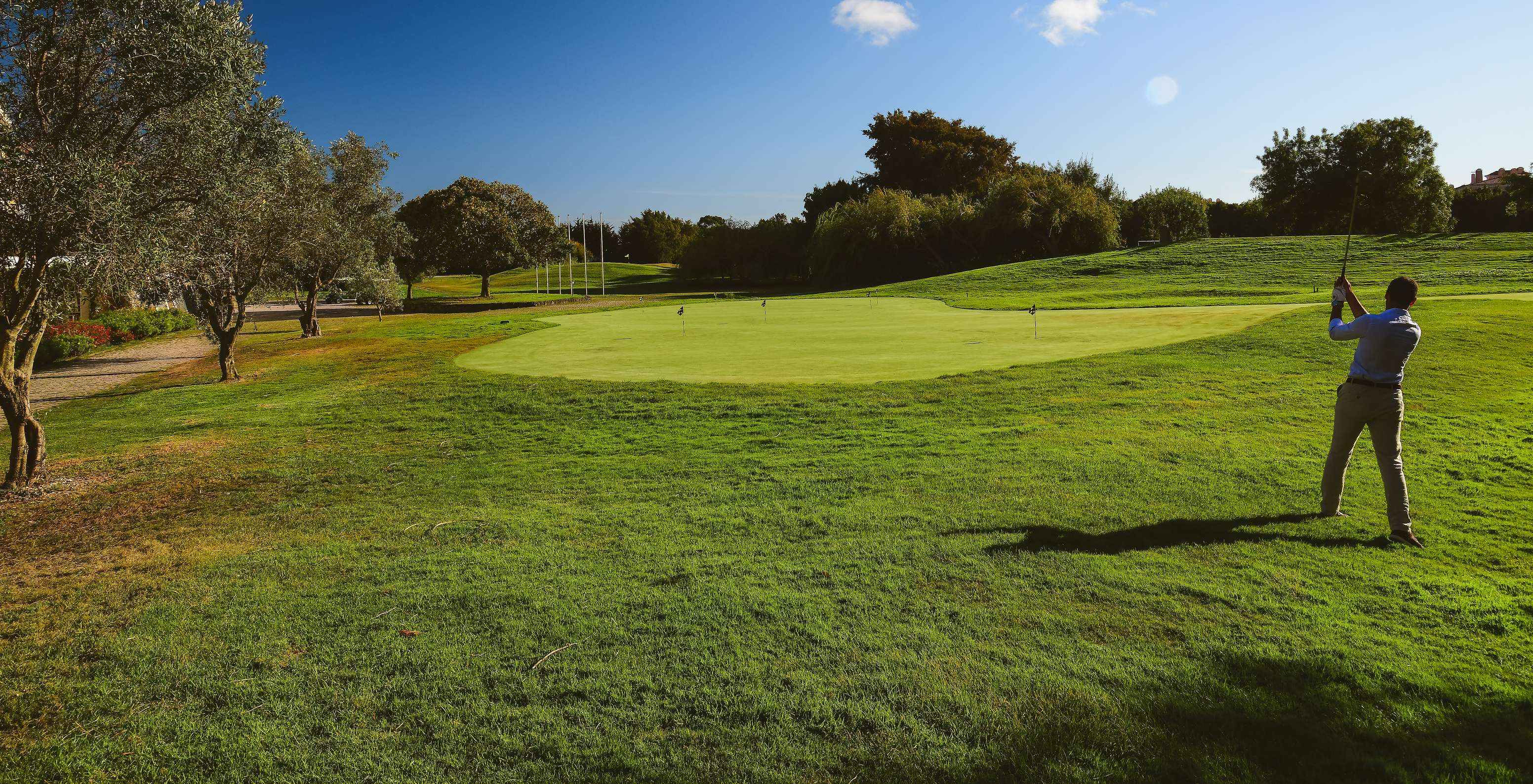 Golfeur frappant une balle sur un vaste green entouré d’arbres et de pelouses sous un ciel bleu ensoleillé