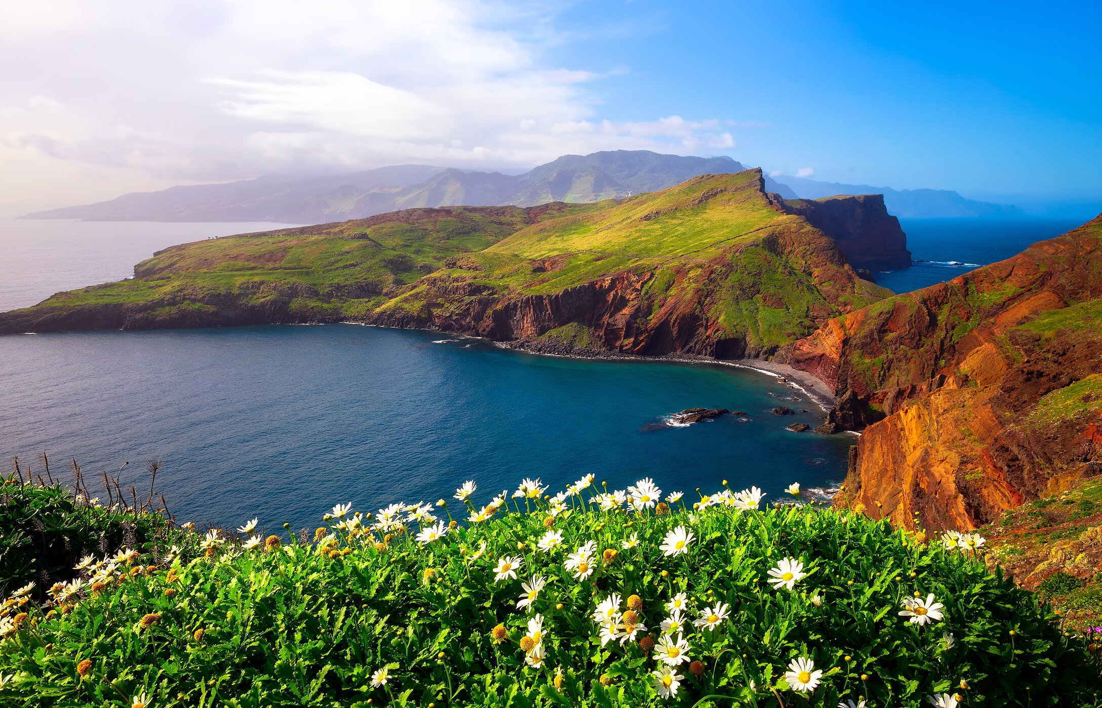 Vue sur l'emblématique Ponta de São Lourenço sur l'île de Madère, entourée par l'océan et avec des fleurs au premier plan.