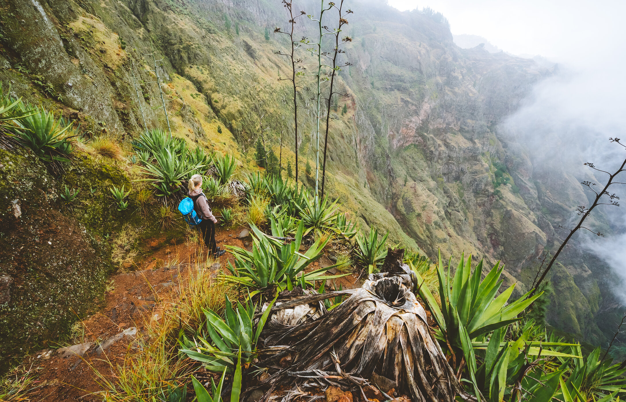 Vrouw wandelt in een bergachtig landschap met planten en een diepe vallei in Vale de Paúl, Kaapverdië