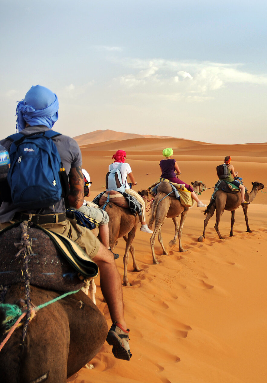 Ontdek Marokko en verken de Sahara op een kameelsafari met een lokale gids.