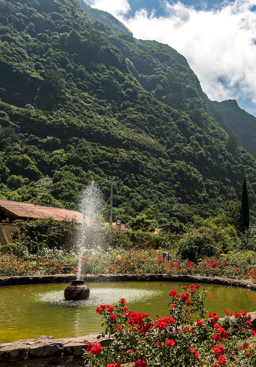 Rozentuin nabij Pestana Quinta Do Arco, Villas com Jardim na Madeira met vijver en groene bergen op de heuvels