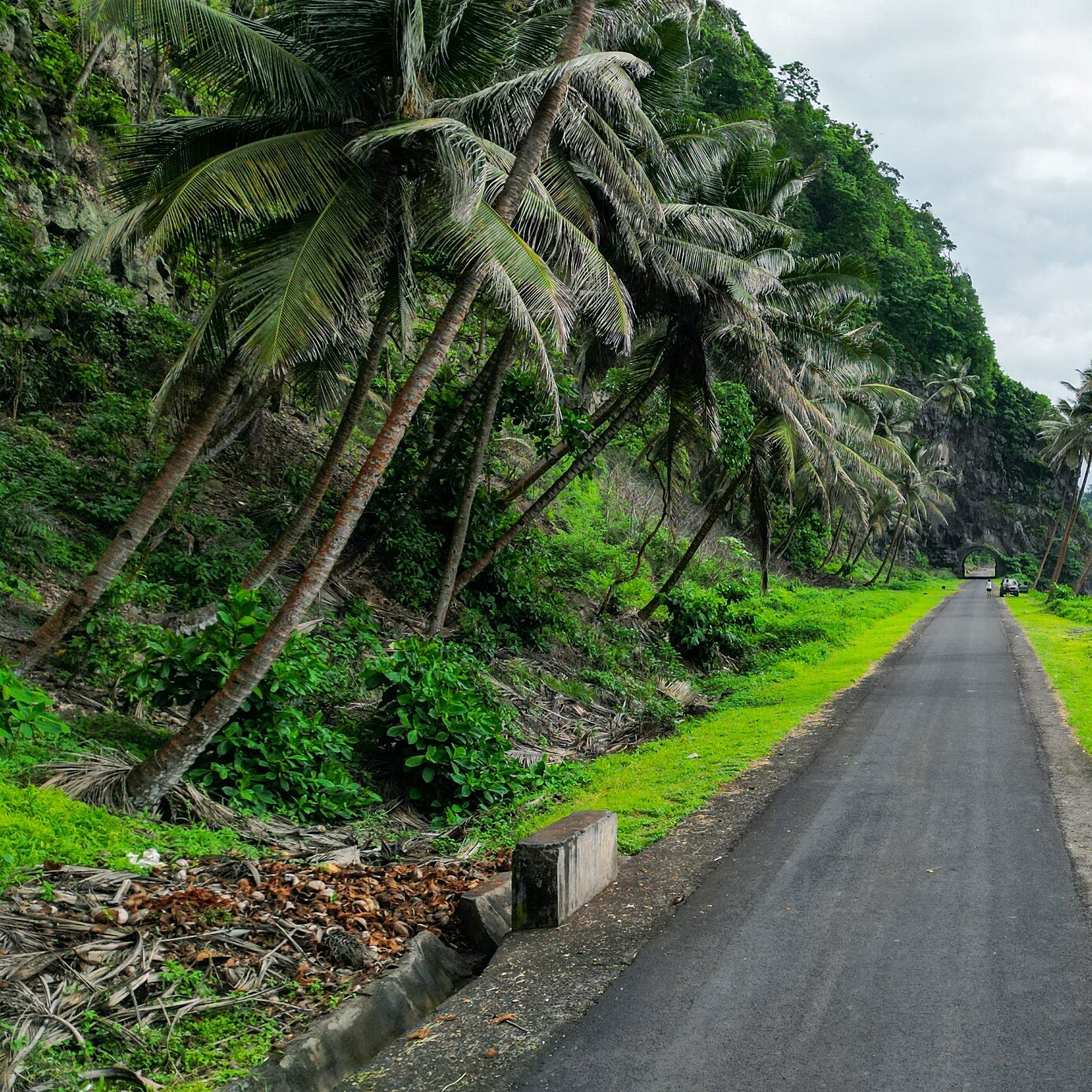 Roadtrip por São Tomé e Príncipe Fique num hotel Pestana e explore São Tomé e Príncipe de carro, nas suas estradas junto ao mar, rodeadas por vegetação