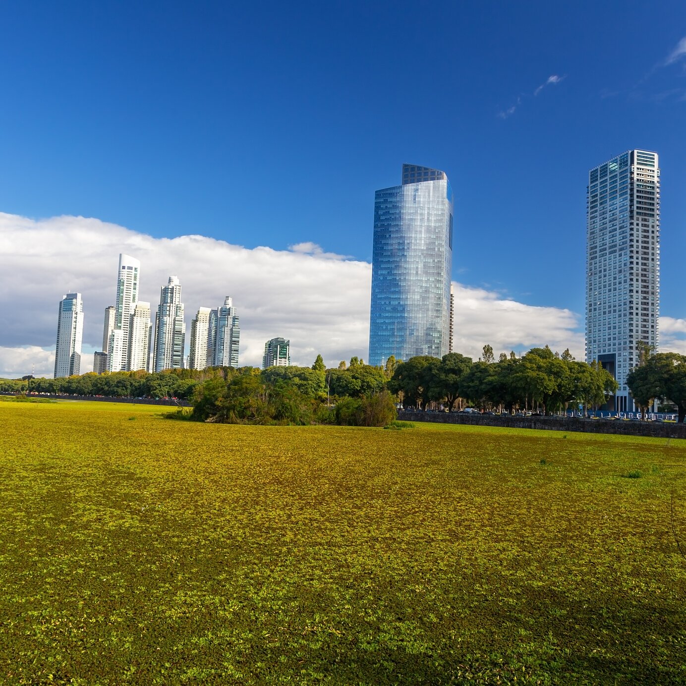 Costanera Sur, Argentina Fique num hotel Pestana e explore os edifícios altos e modernos rodeados por vegetação em Buenos Aires na Argentina