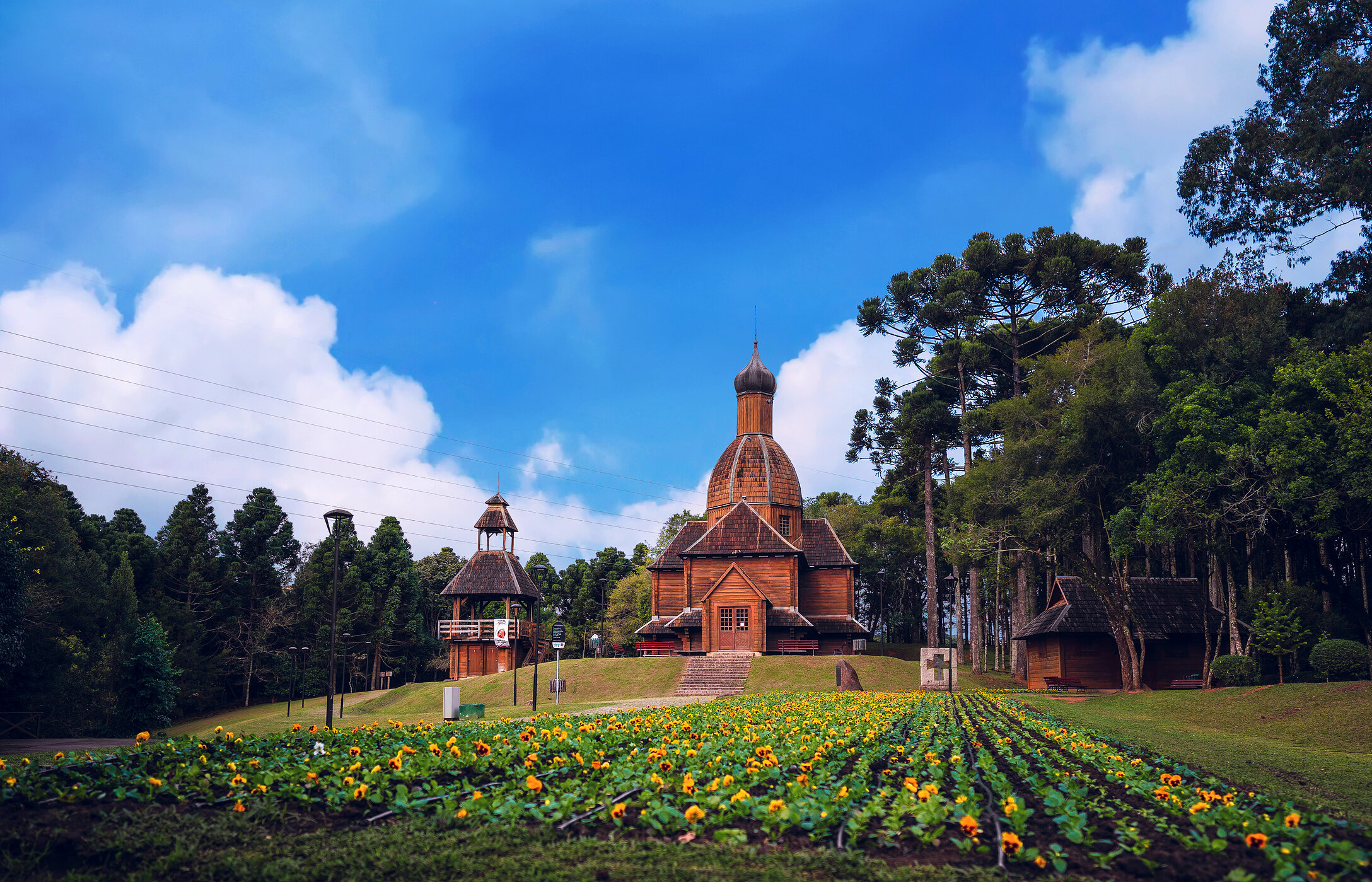 O Parque Tingui em Curitiba é um espaço sereno, ideal para caminhadas, com belos lagos e áreas verdes para relaxar