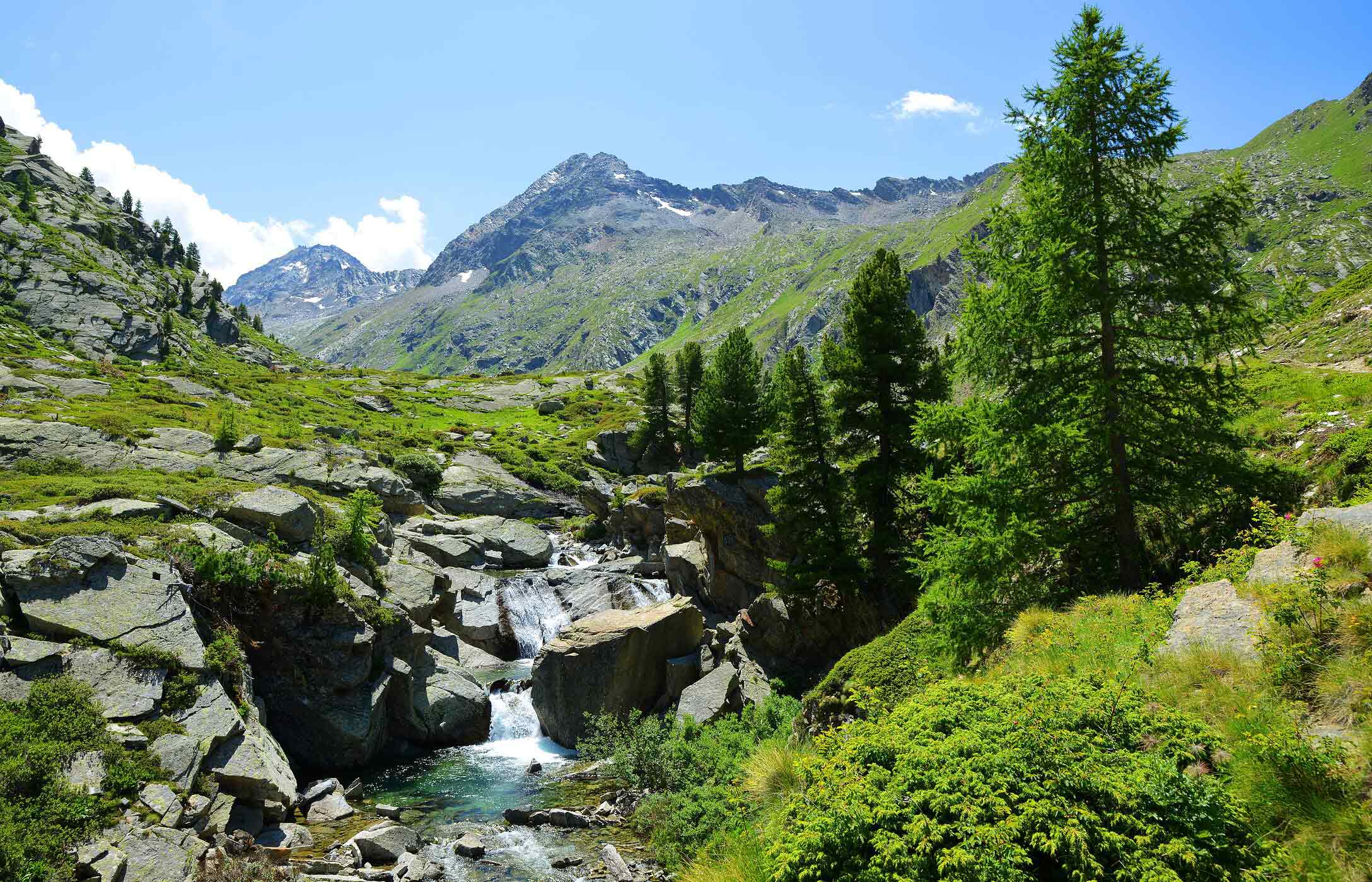 Vale montanhoso com riacho entre rochas, árvores alpinas e picos verdes sob céu azul e luz solar intensa