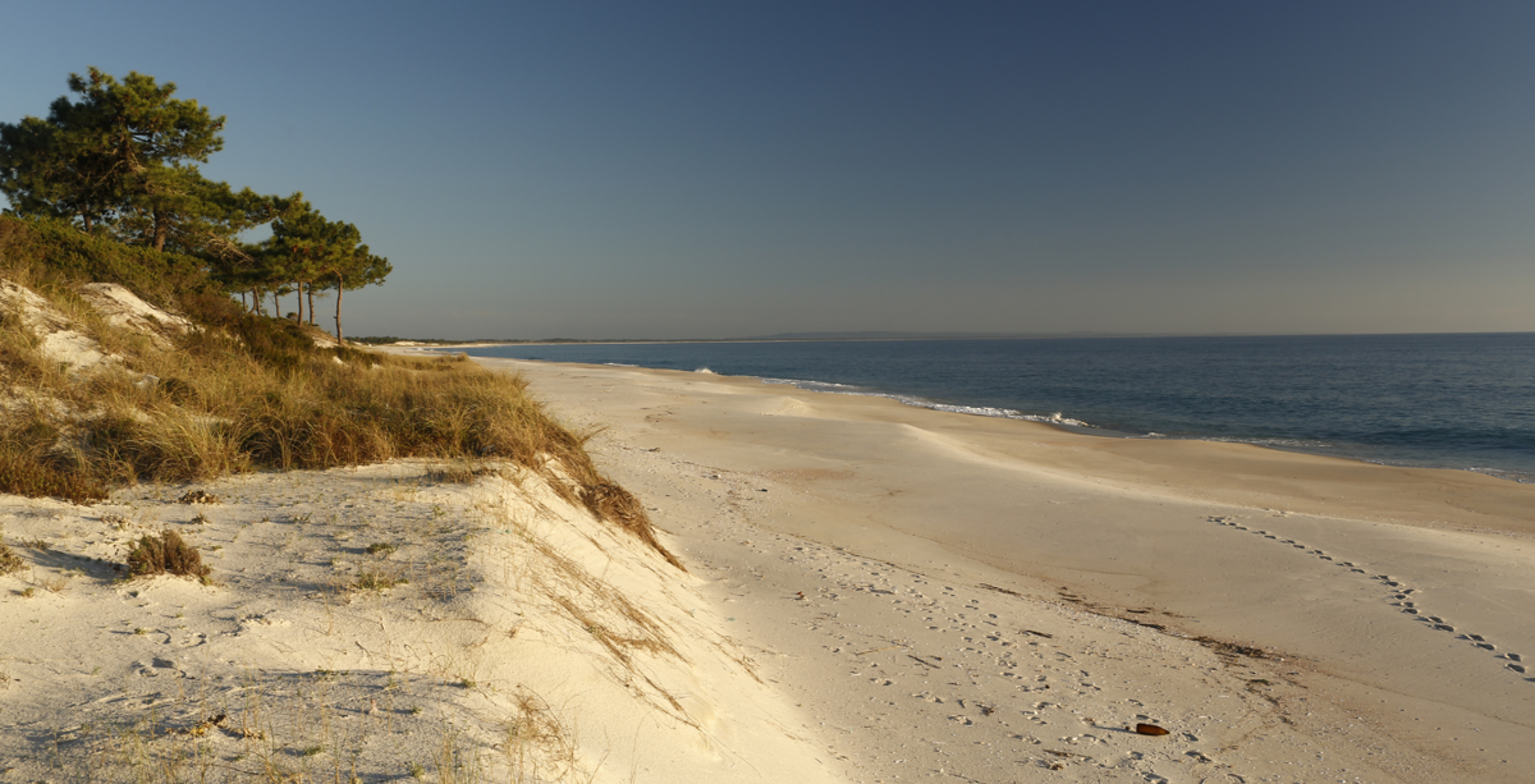 Extenso areal da Praia de Soltroia, na hora dourada do pôr do sol, com vegetação em cima das dunas e mar calmo