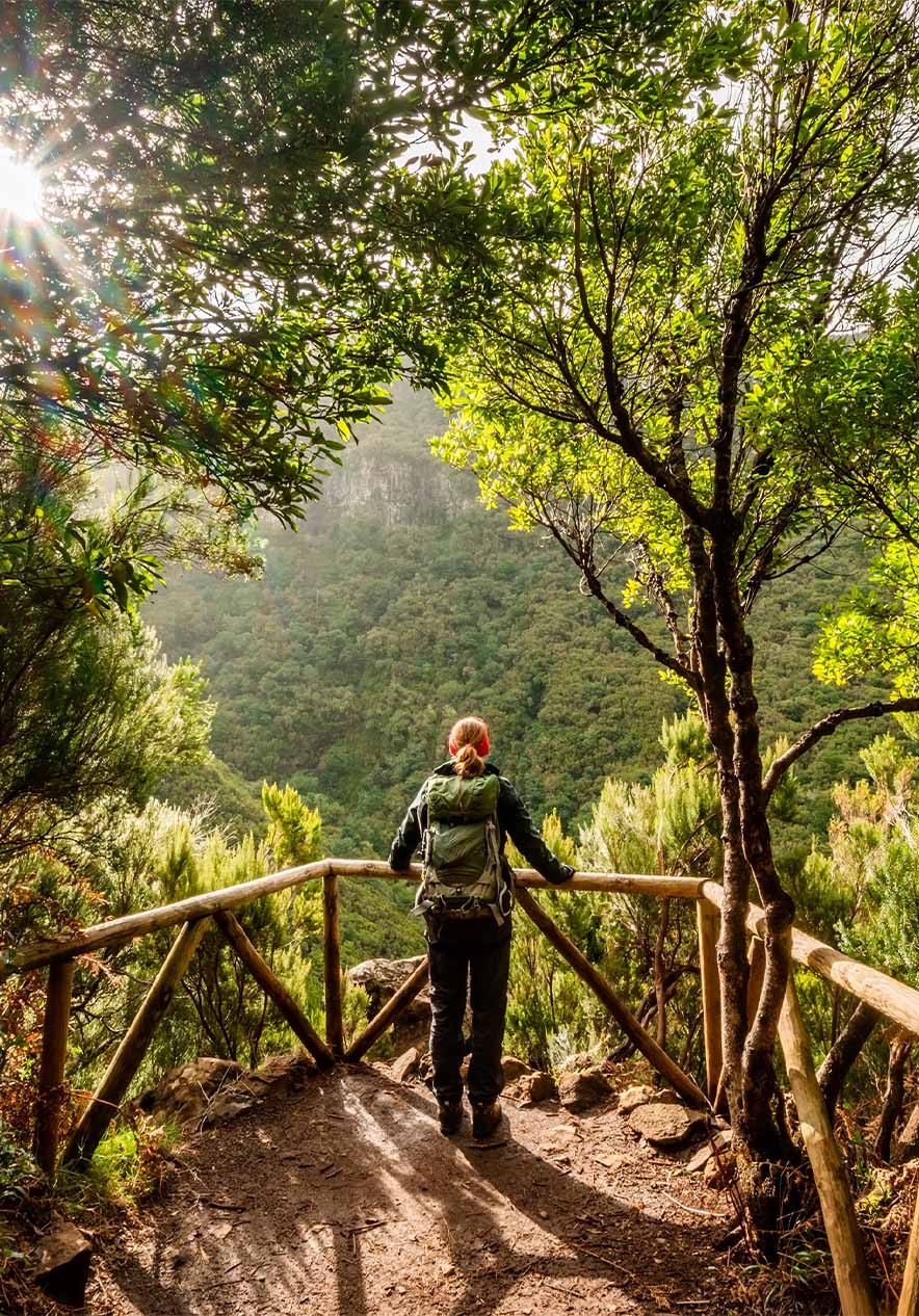Fique no Pestana Casino Studios e descubra a Floresta Laurissilva da Madeira, com a sua biodiversidade muito elevada