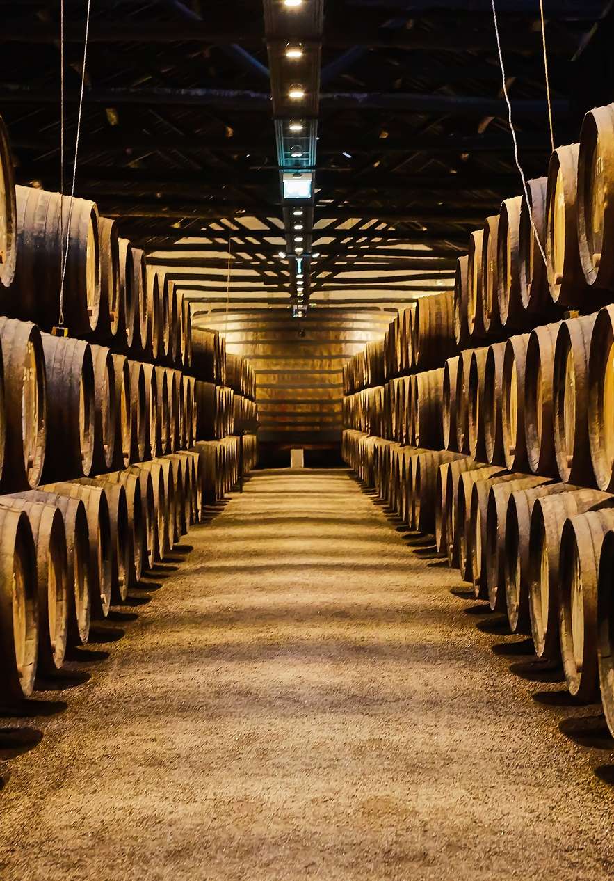 Fique na Pousada Porto e prove vinho incrível nas Caves do Vinho do Porto, com pipas antigas