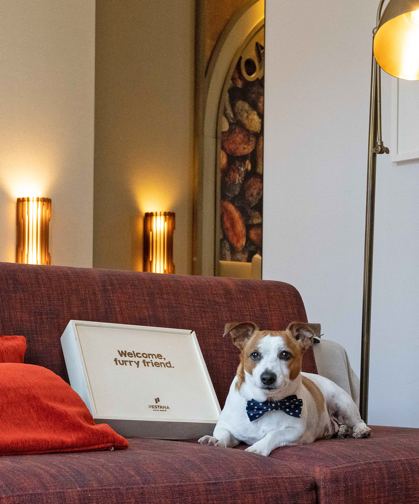 O Pestana Amsterdam Riverside é um hotel pet-friendly, onde os cães podem relaxar com os donos no seu quarto