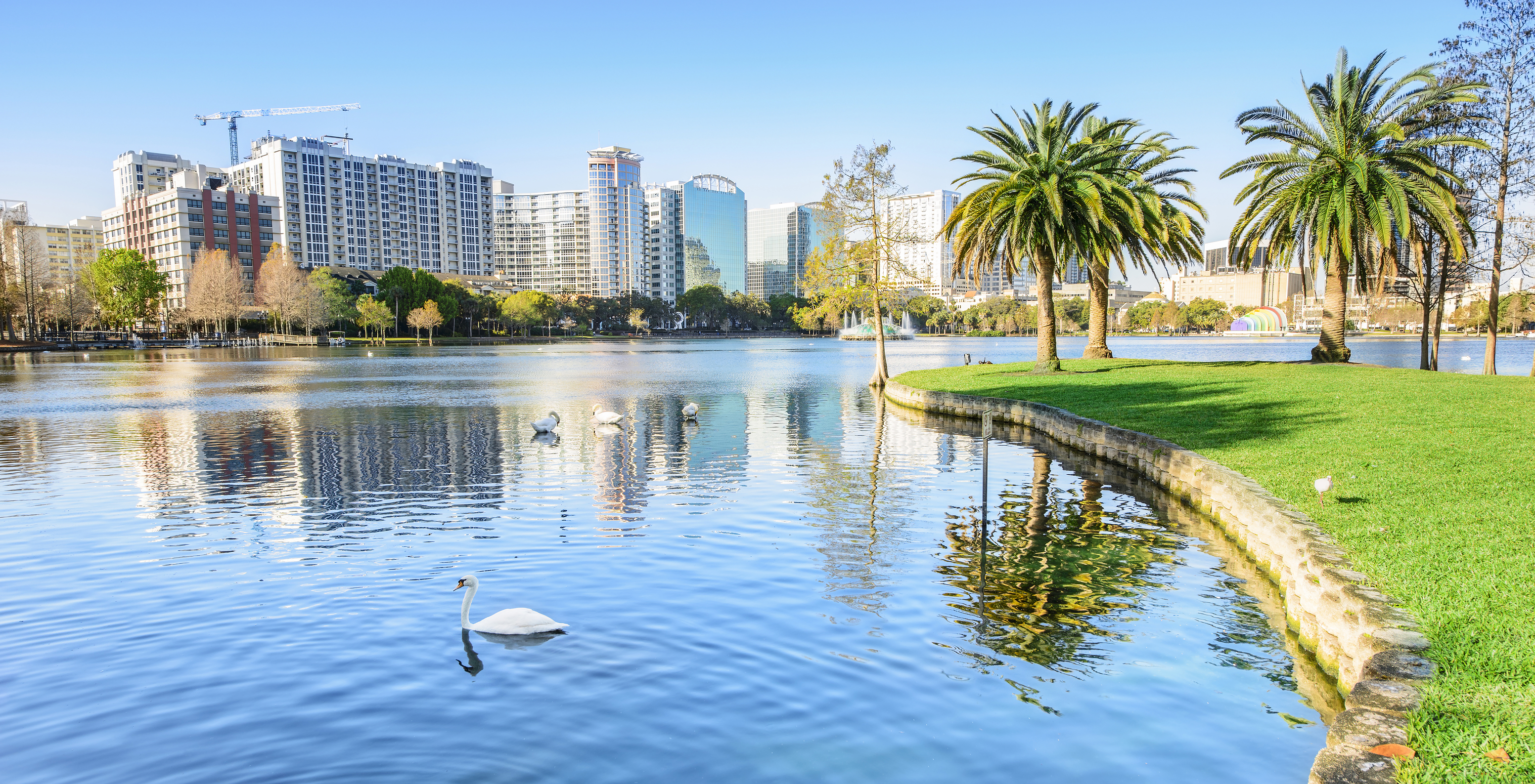 Vista de um lago calmo, com cisnes brancos, num dia de céu azul com poucas nuvens, com a cidade de Orlando de fundo