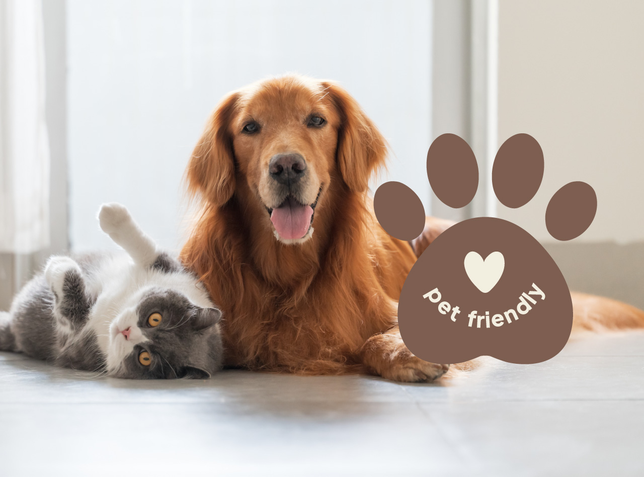 Cão dourado e gato branco e cinzento deitados no chão junto a símbolo castanho com mensagem pet friendly