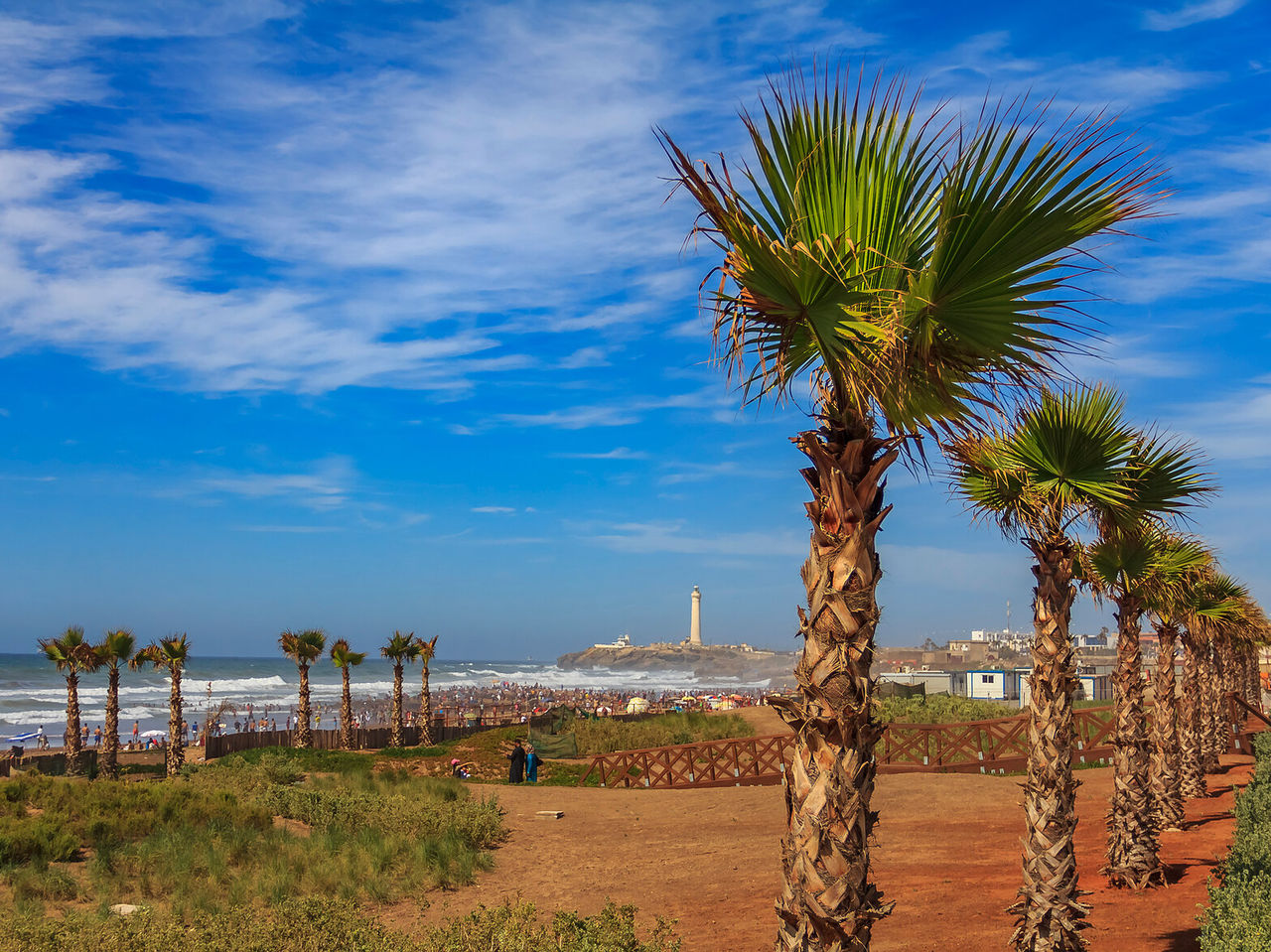 Blick auf den Strand von Casablanca, mit mehreren Palmen und einem Teil der Stadt im Hintergrund