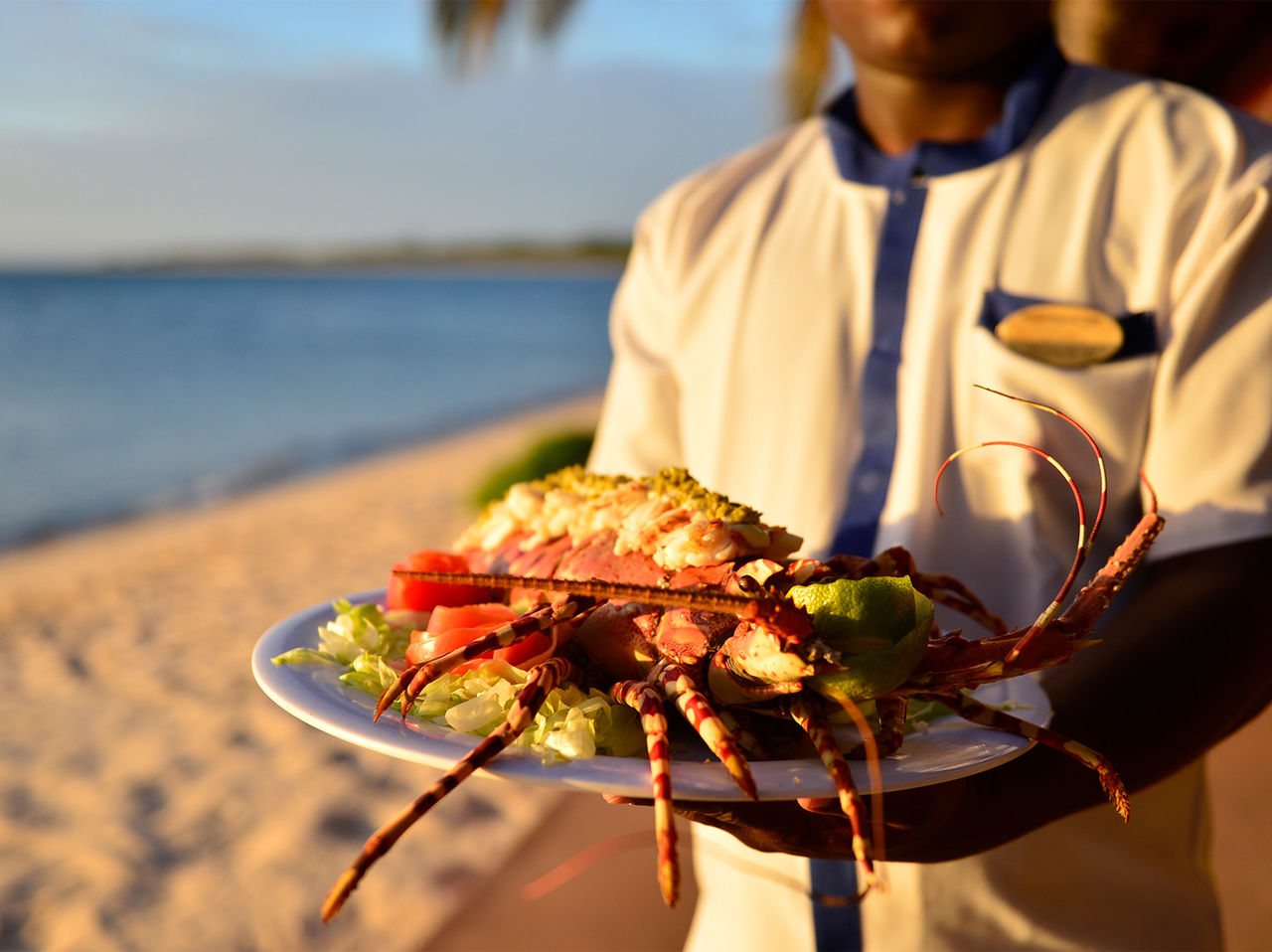 Das Restaurant Flamingo im Eco-Resort auf Bazaruto bietet Ihnen köstliche gastronomische Optionen wie Hummer