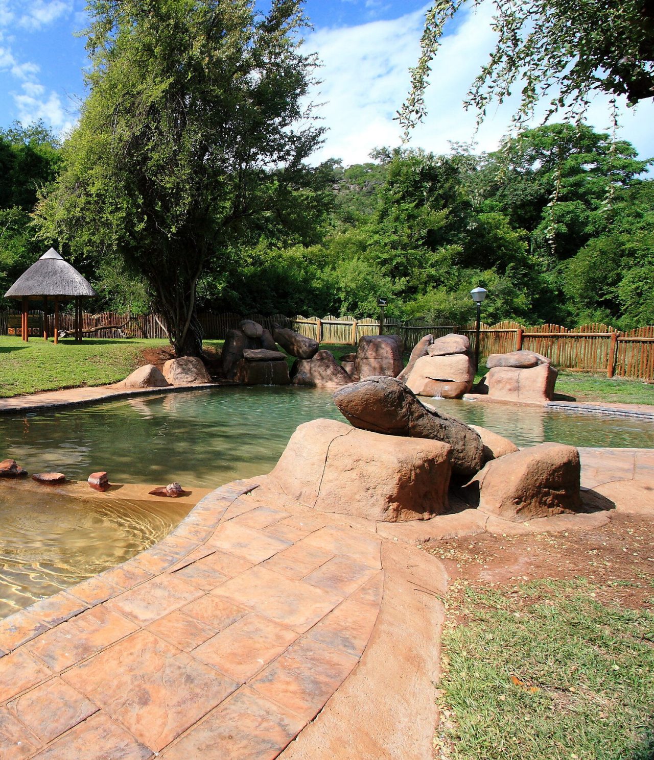 Künstlicher Pool im Kruger-Nationalpark, mit Felsen und grünem Wasser, umgeben von Vegetation