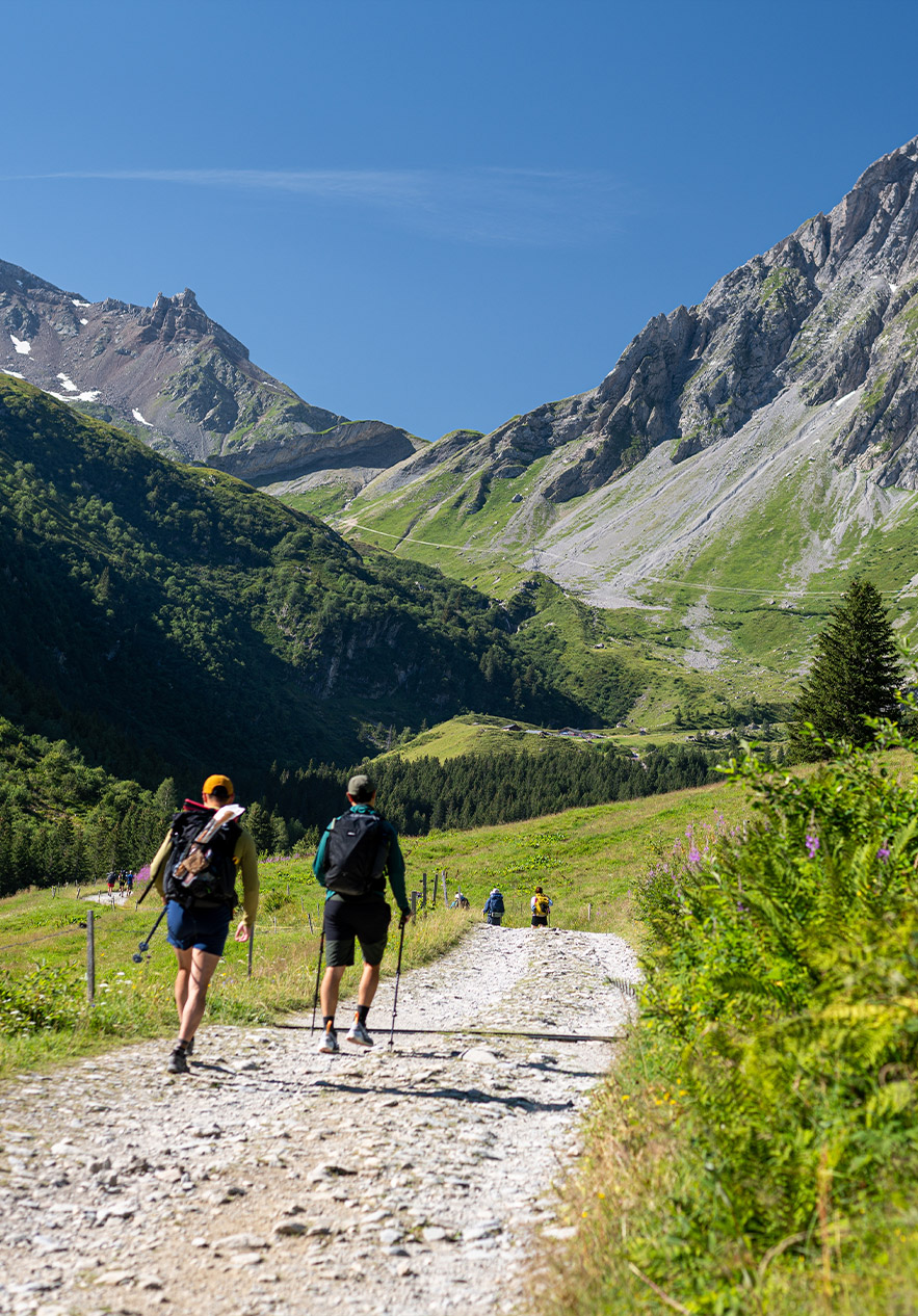 colocar alt text aqui