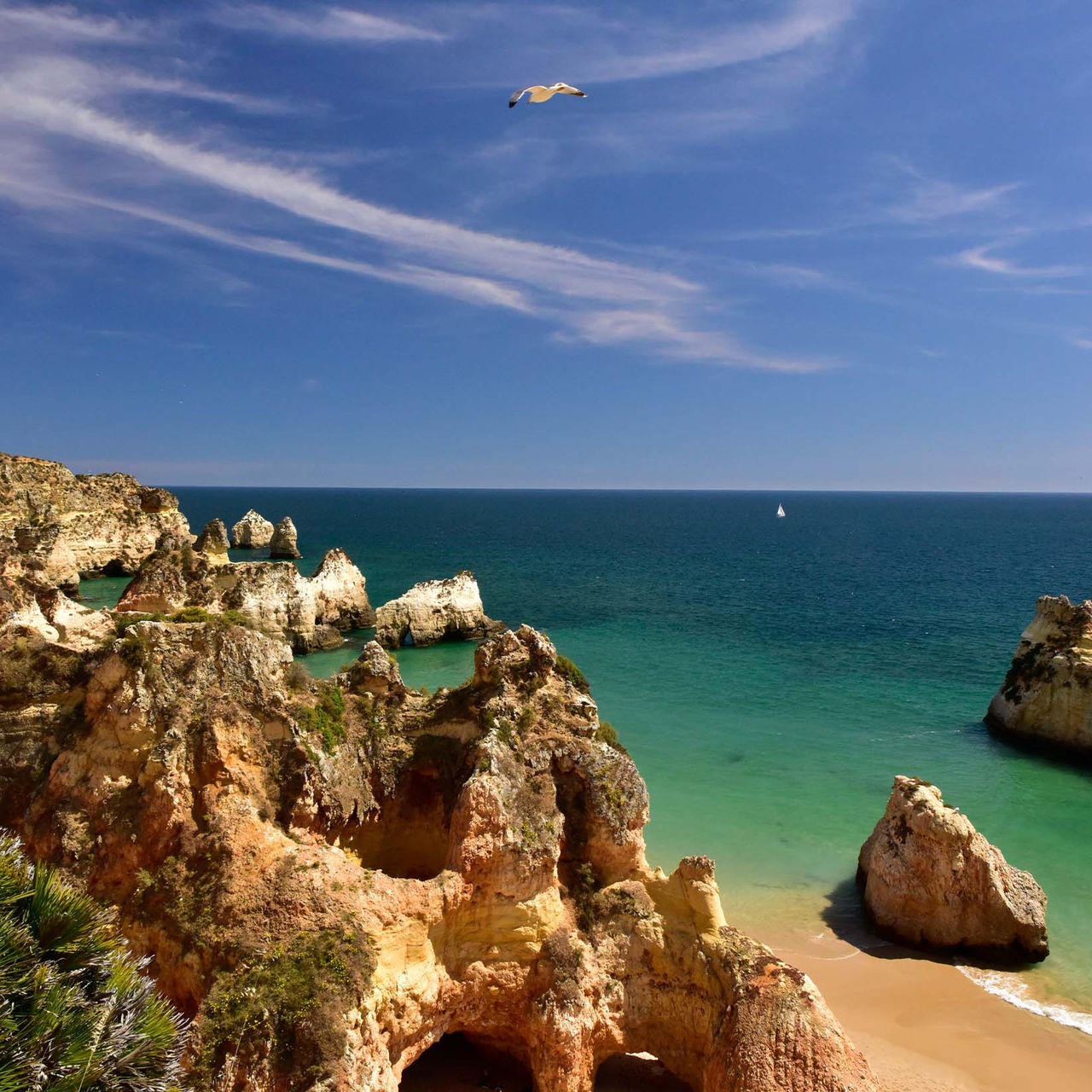 Blick auf Praia dos 3 Irmãos mit Felsen, Vegetation, Sand, Meer und Himmel mit Wolken und einer Möwe