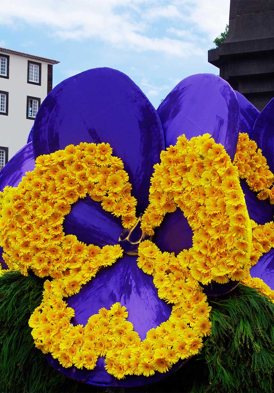 Verweilen Sie im Pestana Carlton Madeira und entdecken Sie die Farbenpracht des Blumenfestes mit vielen bunten Blumen
