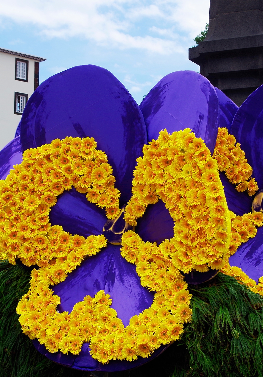 Blumenfest auf Madeira, wo die Straßen mit blauen und gelben Blumen geschmückt sind