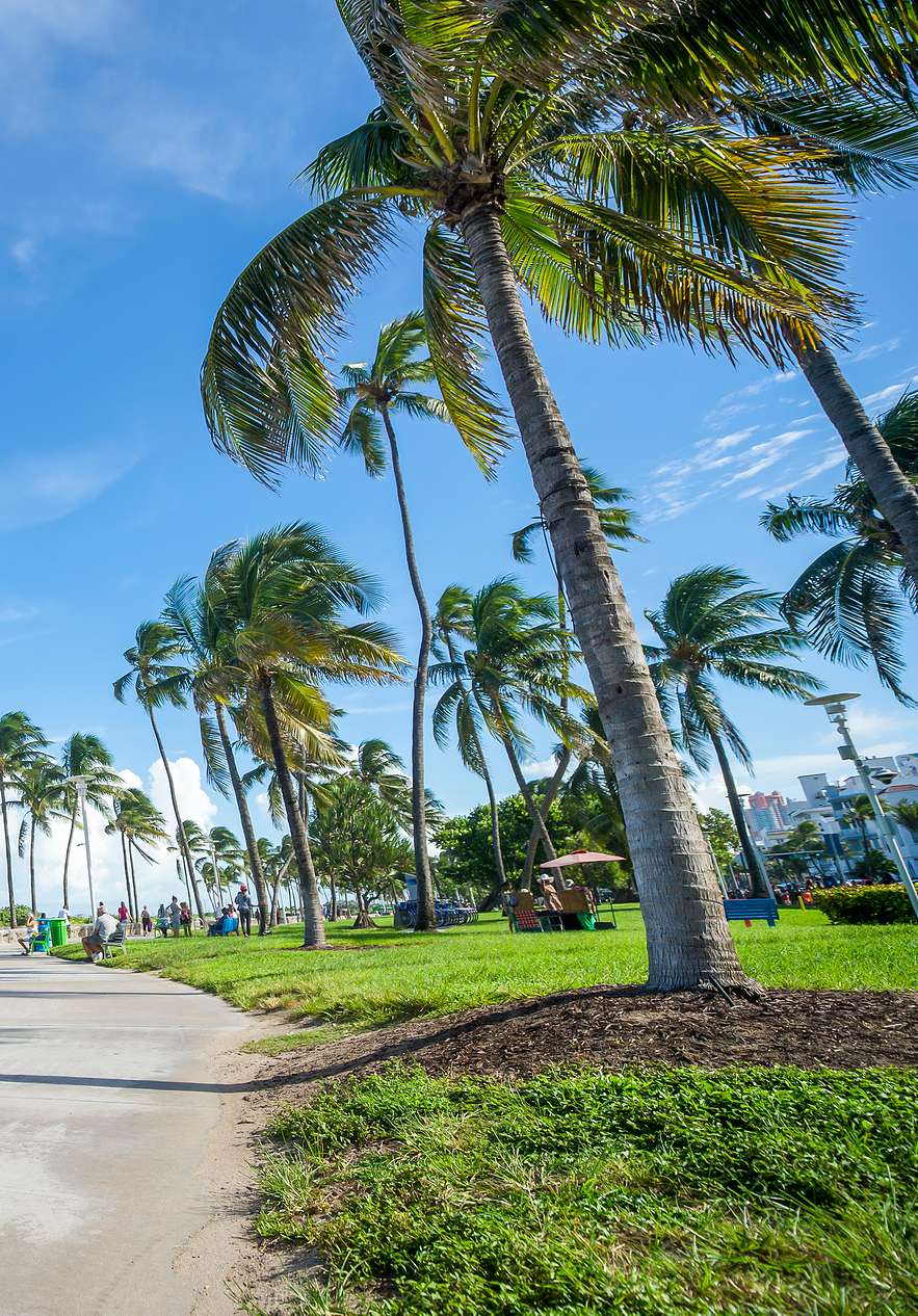 Menschen fahren Fahrrad auf einem Radweg in Miami, umgeben von Palmen und Leuten auf dem Rasen