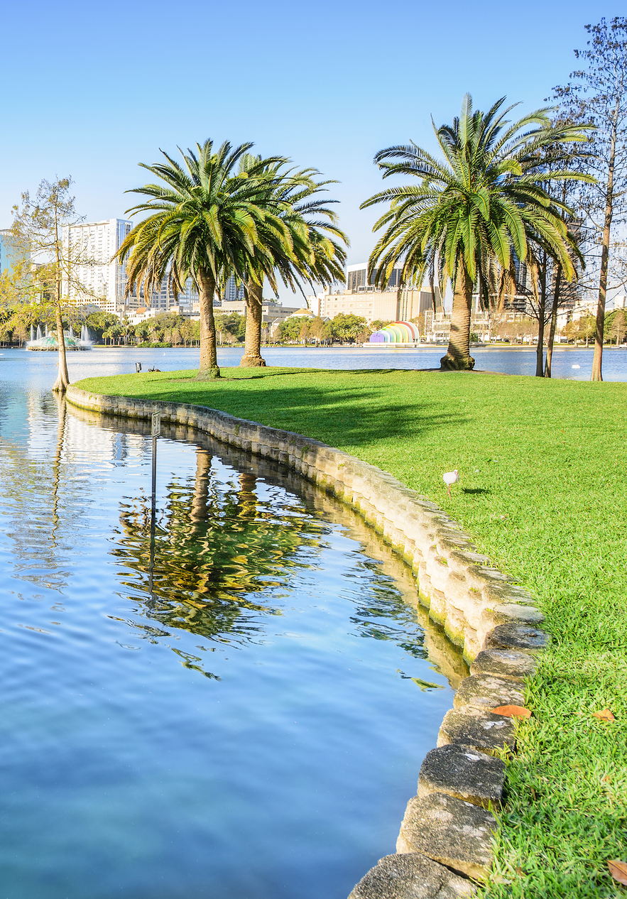 Blick auf einen ruhigen See mit weißen Schwänen an einem blauen Himmel mit wenigen Wolken, Orlando im Hintergrund