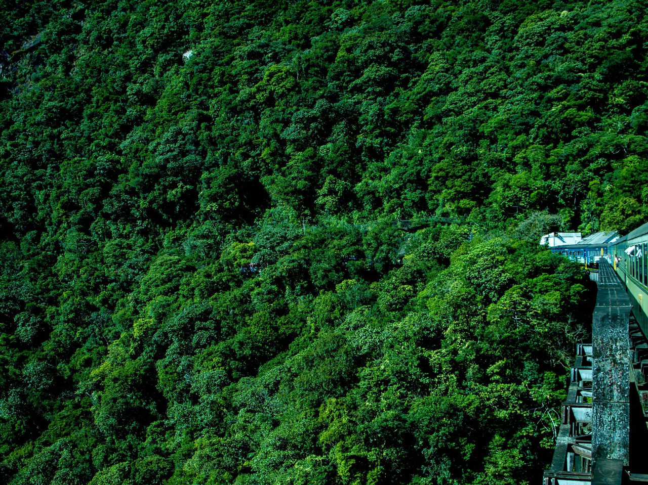Zug schlängelt sich durch grüne Berge und üppige Täler entlang des Weges und entdeckt die Schönheit der Region