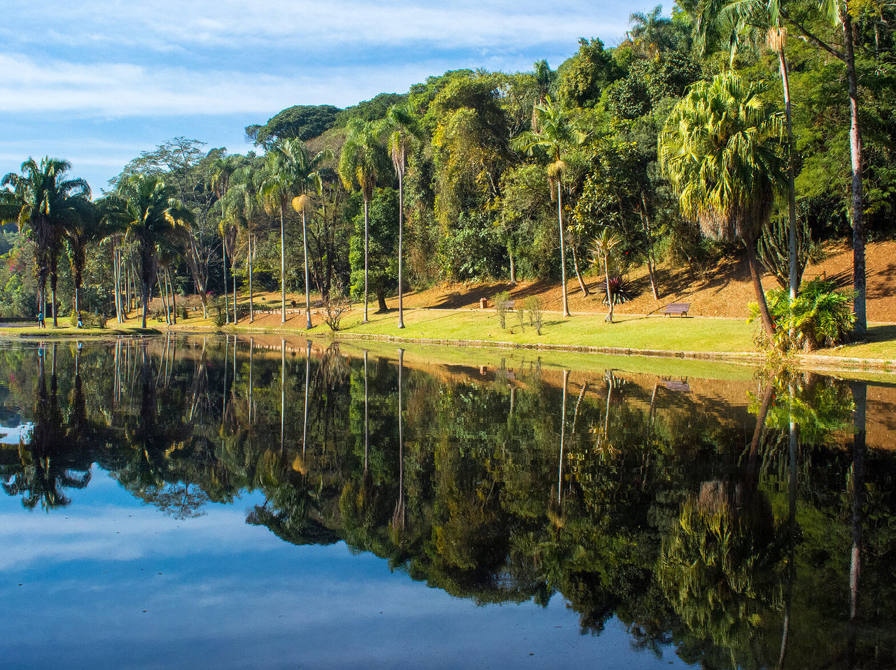 Blick auf einen See in einem Park mit Palmen um den See und dichter Vegetation im Hintergrund