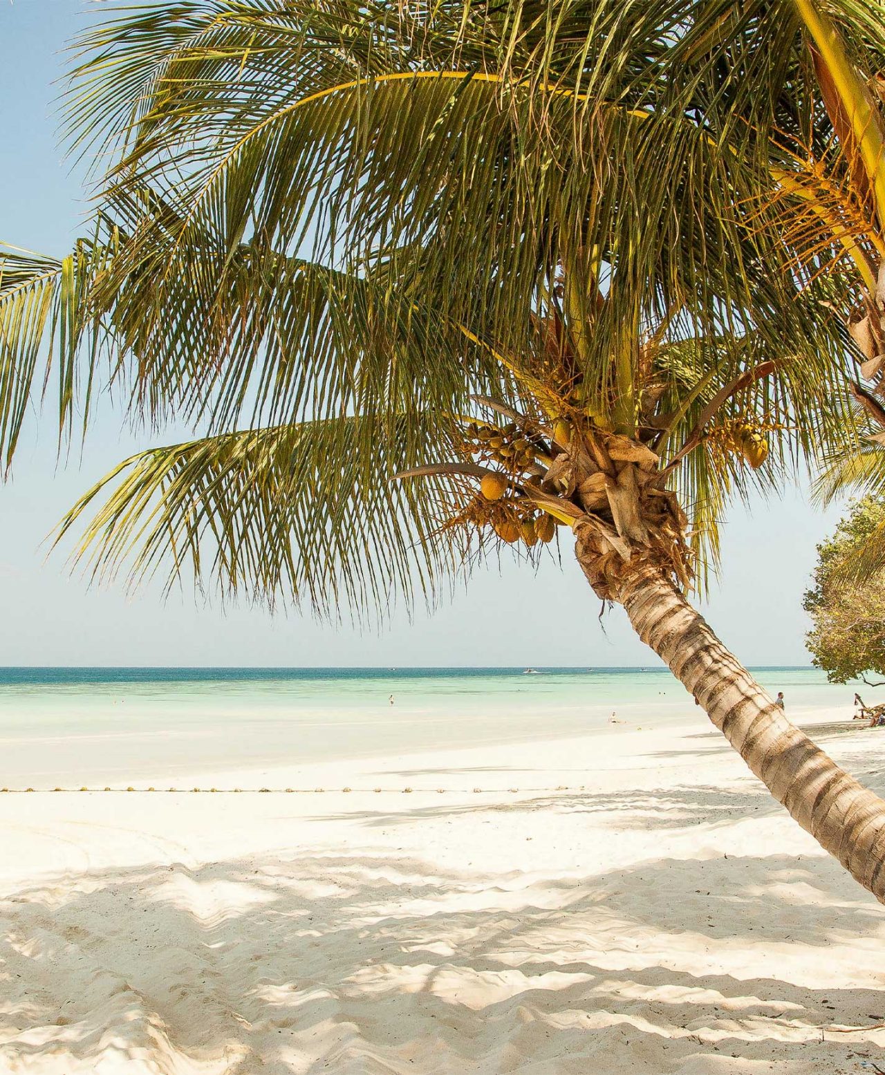 Praia paradisíaca, com areia branca, água azul e palmeiras, de hotel da marca Pestana Hotels & Resorts